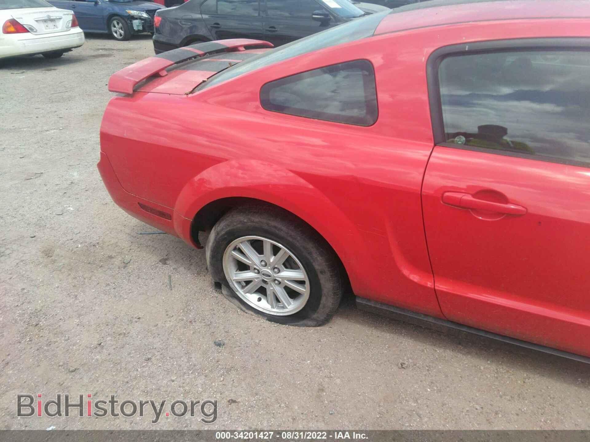 2009 FORD MUSTANG - VIN: 1ZVHT80N395110185 - Фото 6