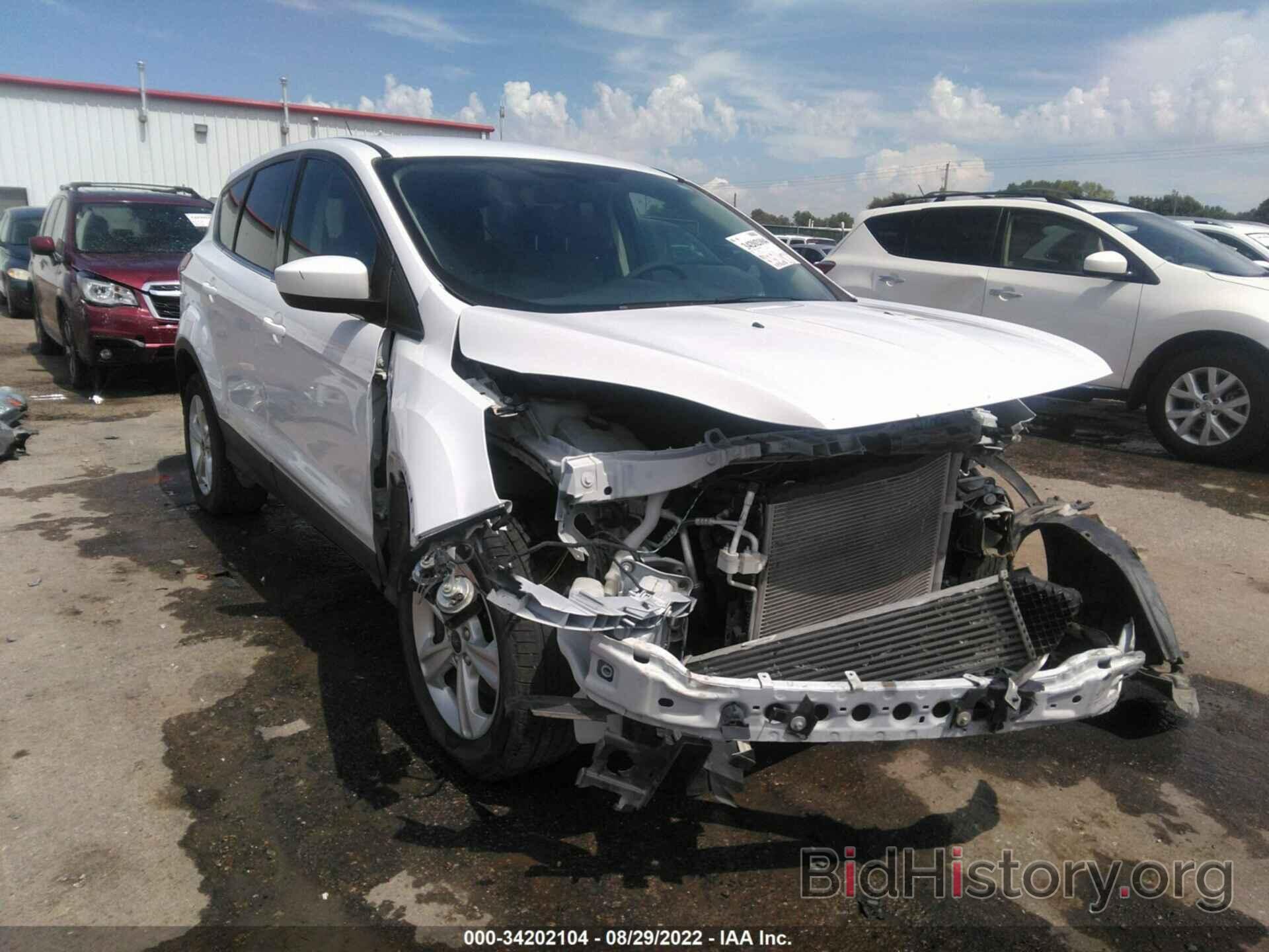 Photo 1FMCU0GX7EUE00069 - FORD ESCAPE 2014