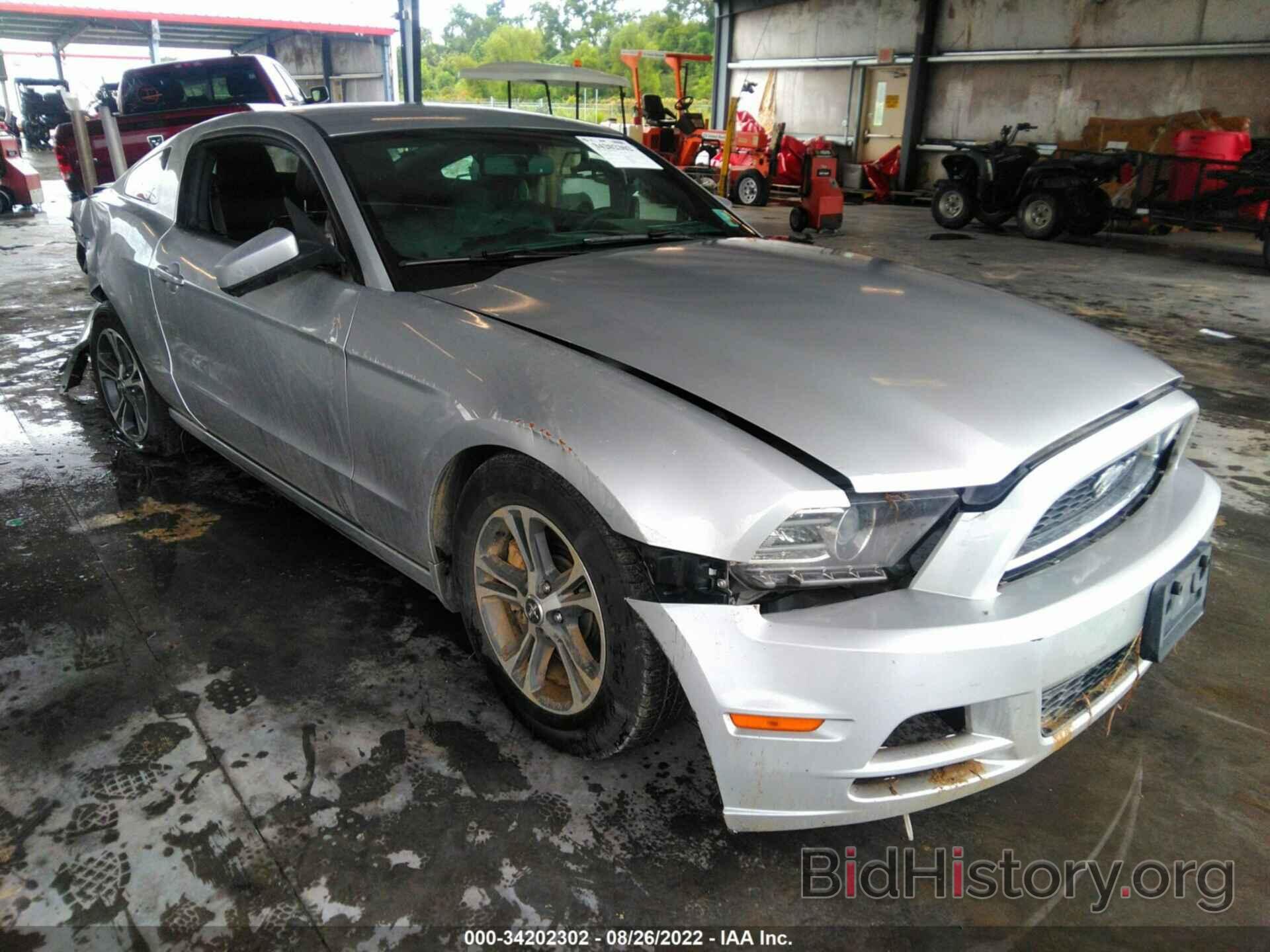 Photo 1ZVBP8AM7E5267034 - FORD MUSTANG 2014