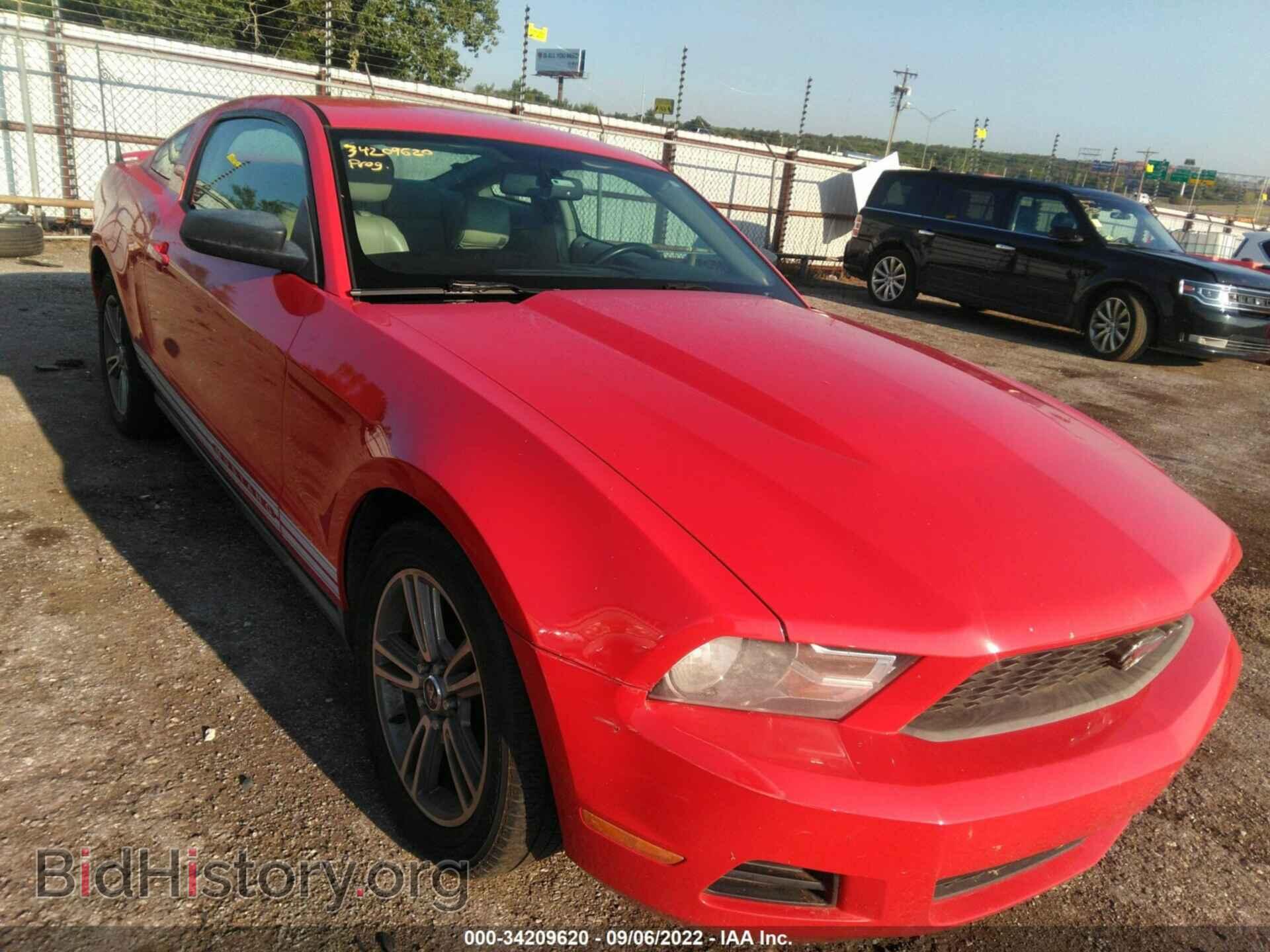2010 FORD MUSTANG - VIN: 1ZVBP8AN2A5128061 - Фото 6