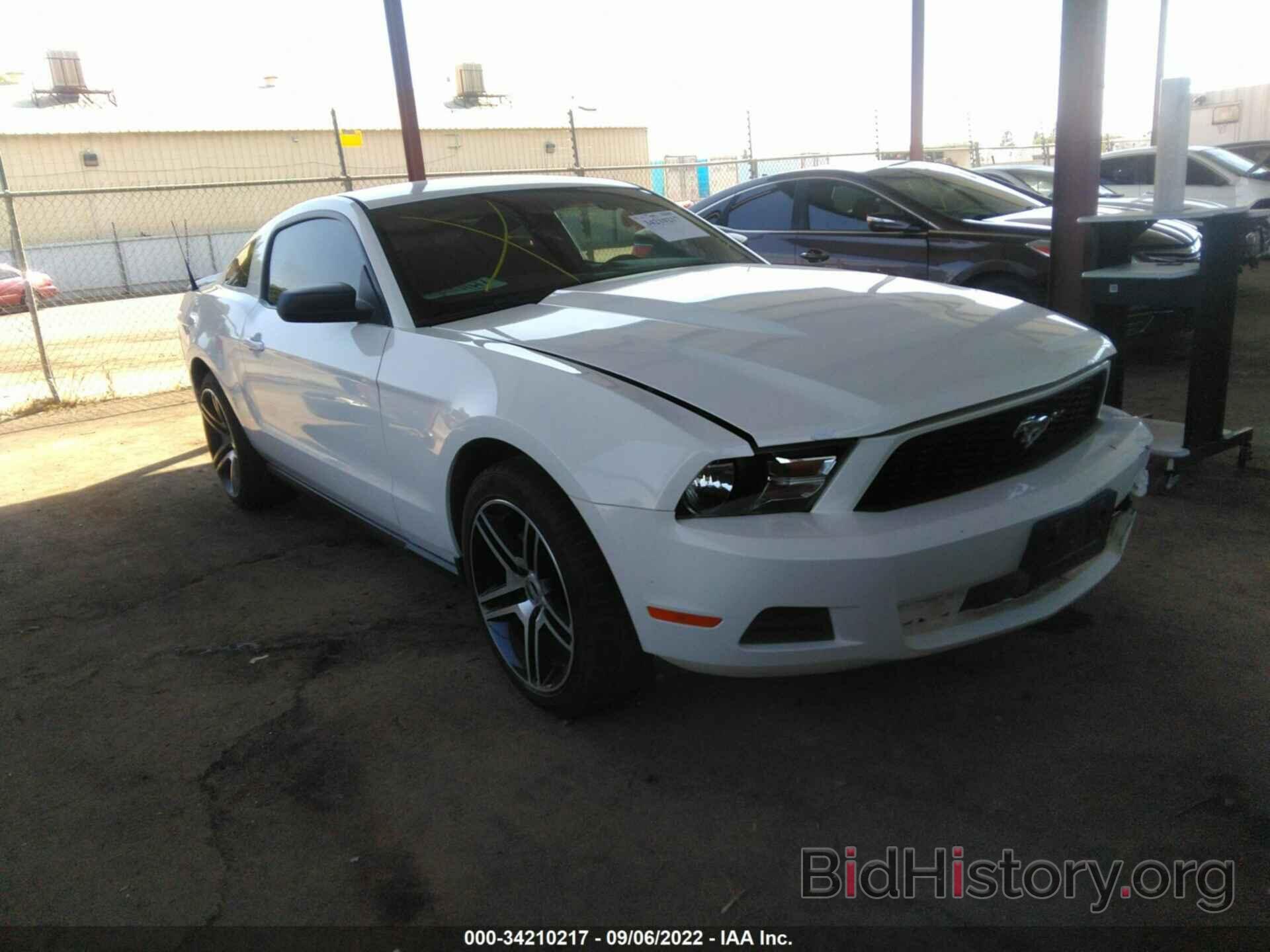 Photo 1ZVBP8AM8C5237005 - FORD MUSTANG 2012