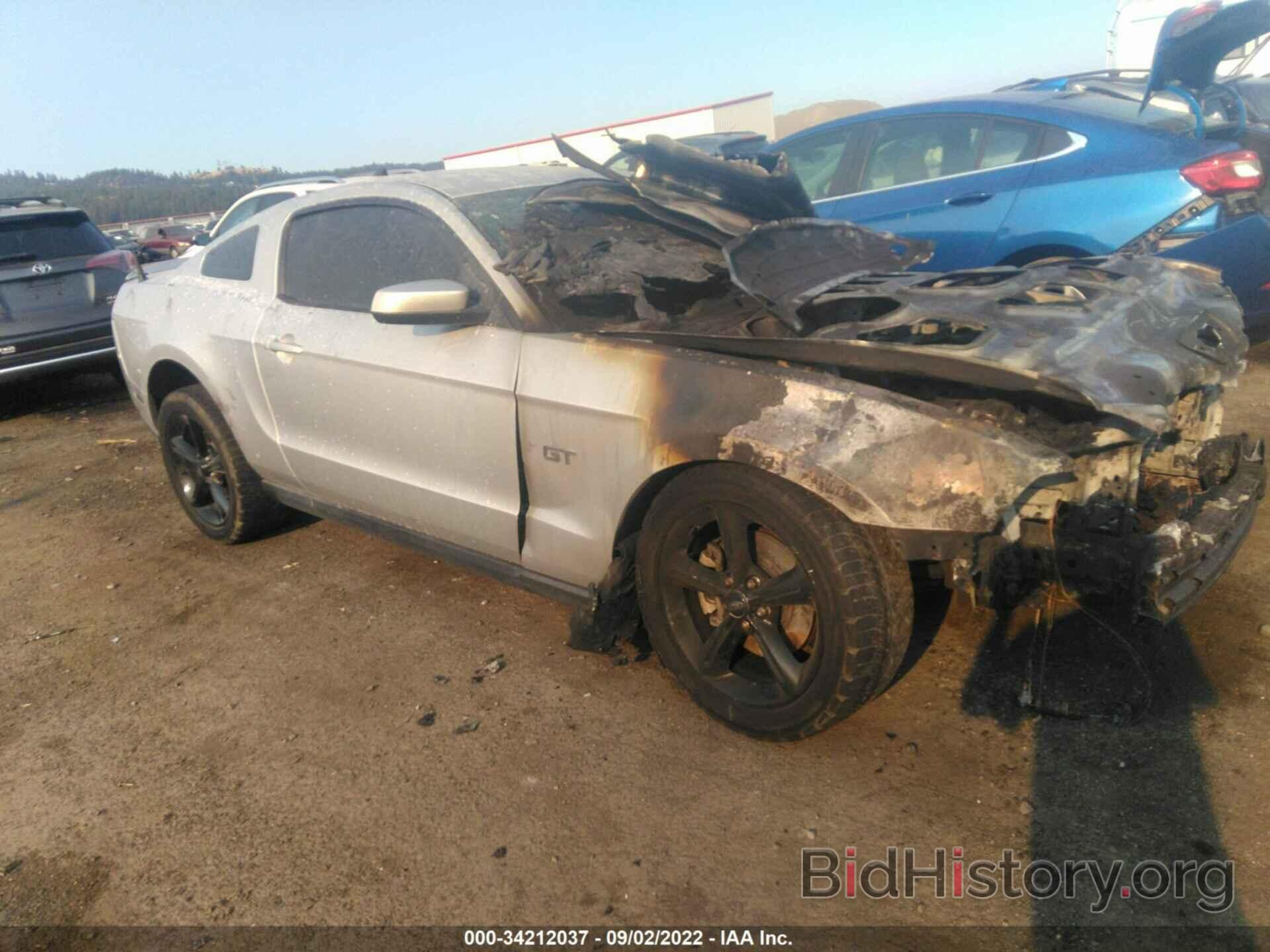 Photo 1ZVBP8CH9A5155958 - FORD MUSTANG 2010