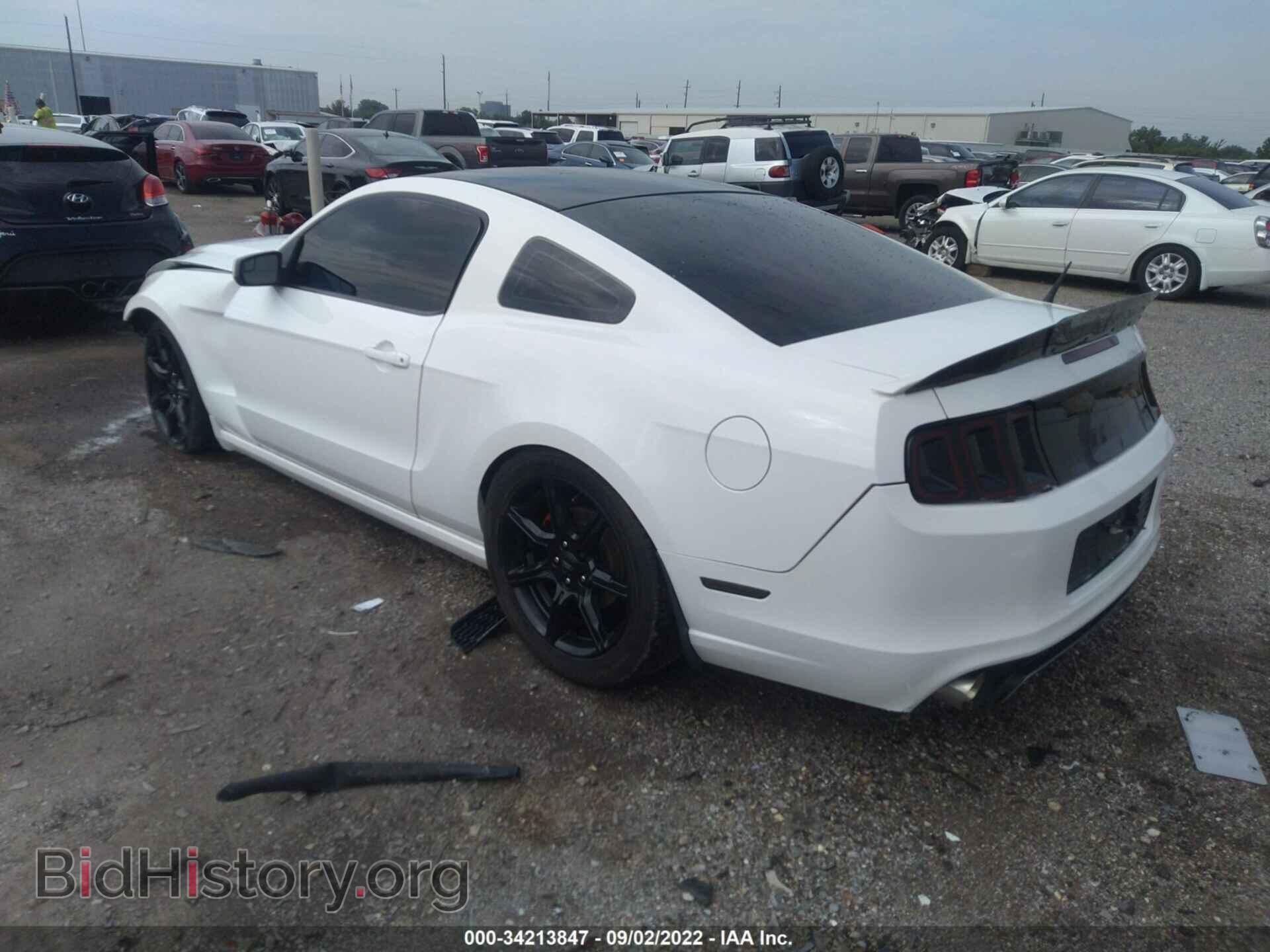 2013 FORD MUSTANG - VIN: 1ZVBP8AM8D5251262 - Фото 3