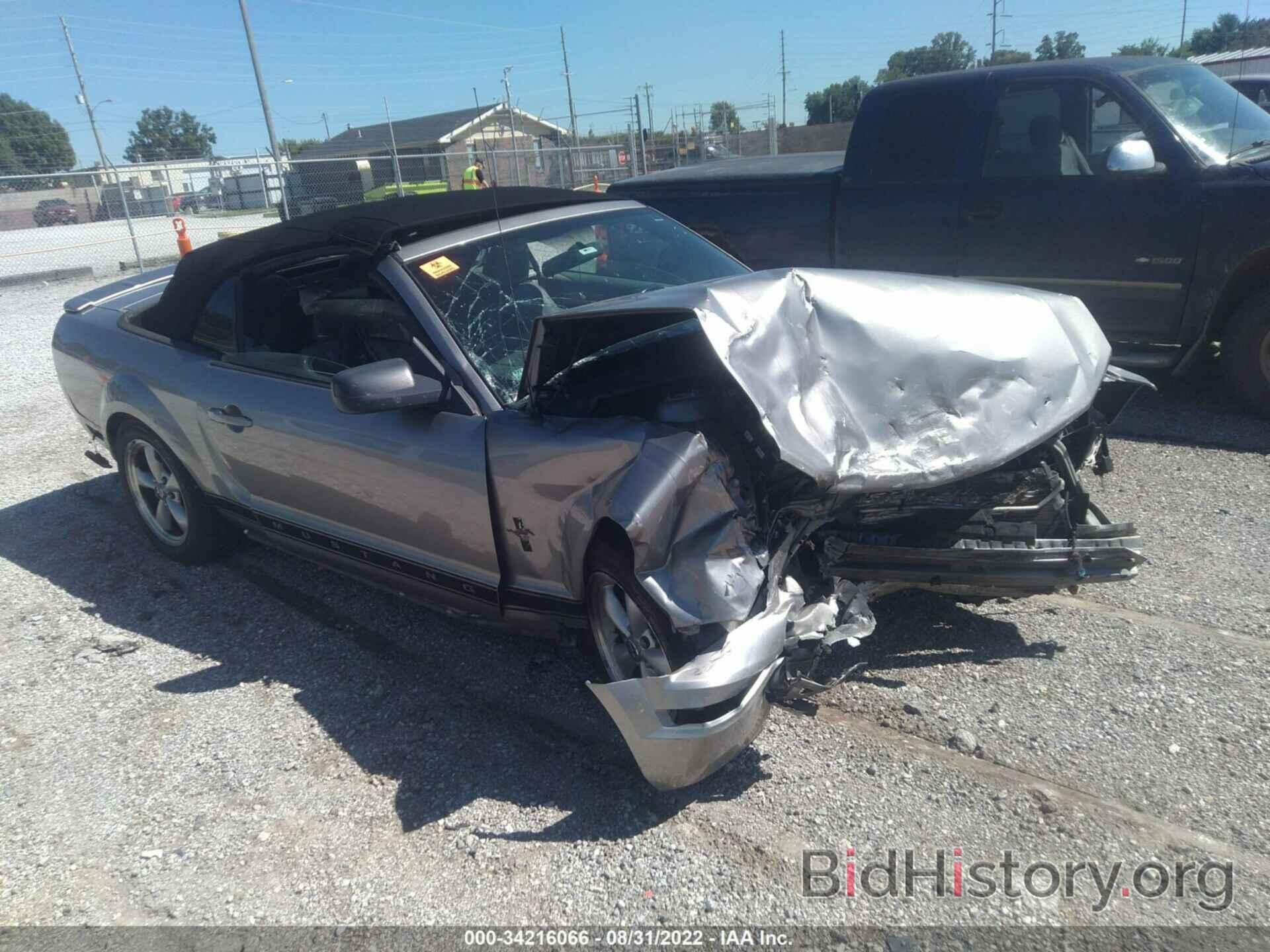 Photo 1ZVHT84N985136508 - FORD MUSTANG 2008