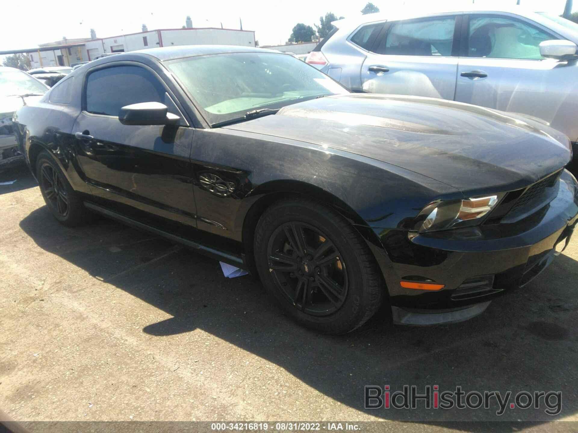 Photo 1ZVBP8AM5C5239407 - FORD MUSTANG 2012