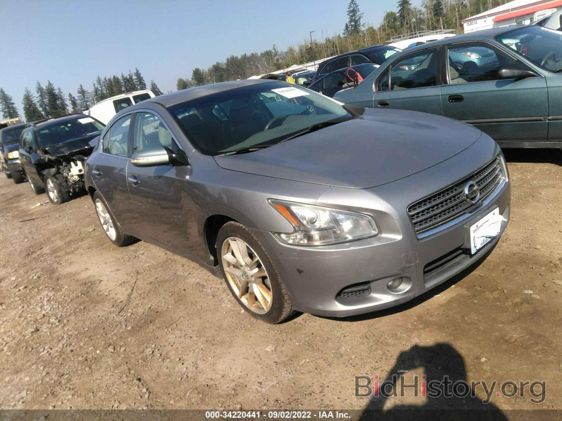 Photo 1N4AA51E69C857806 - NISSAN MAXIMA 2009