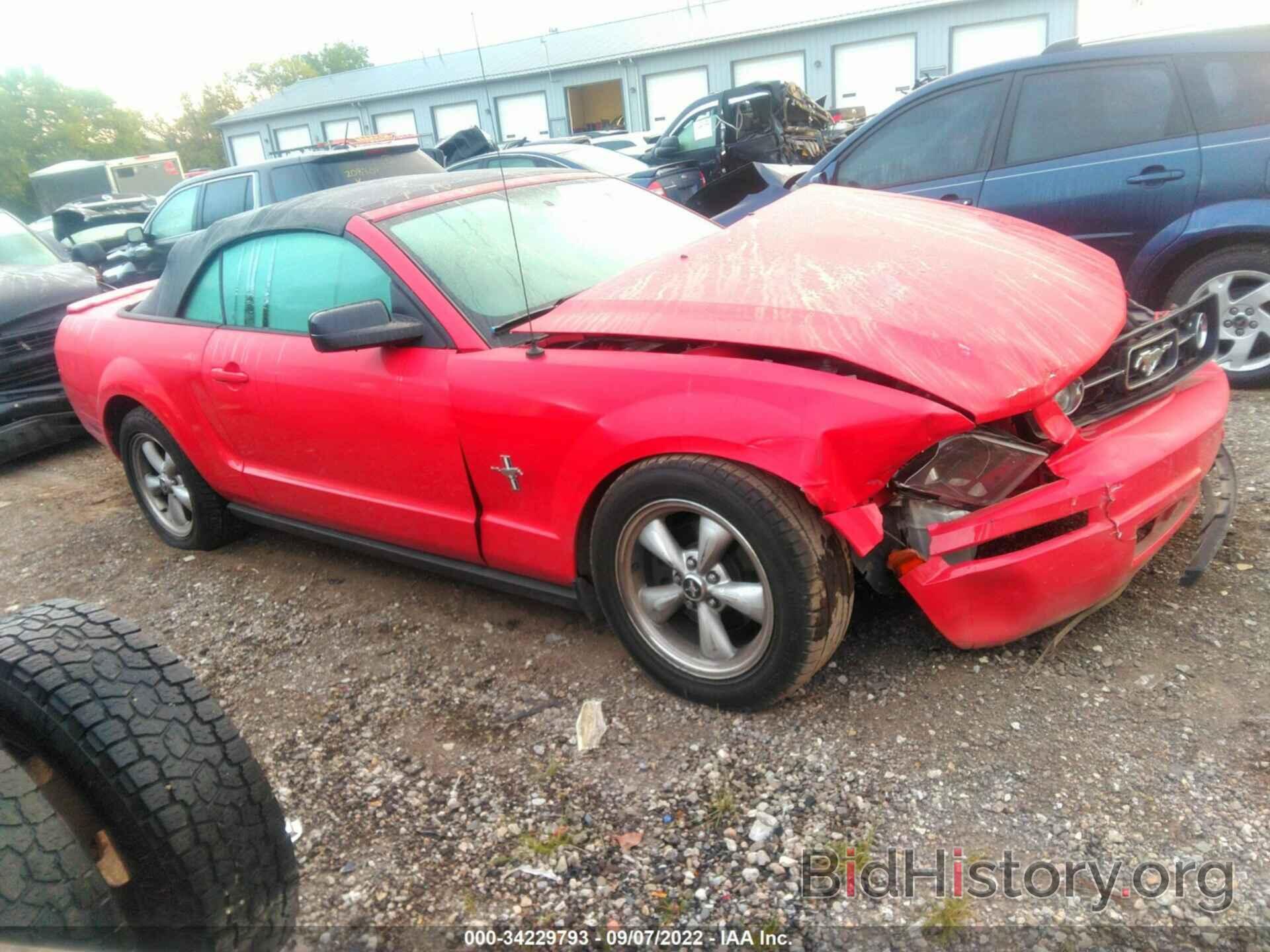 Photo 1ZVHT84N585131287 - FORD MUSTANG 2008