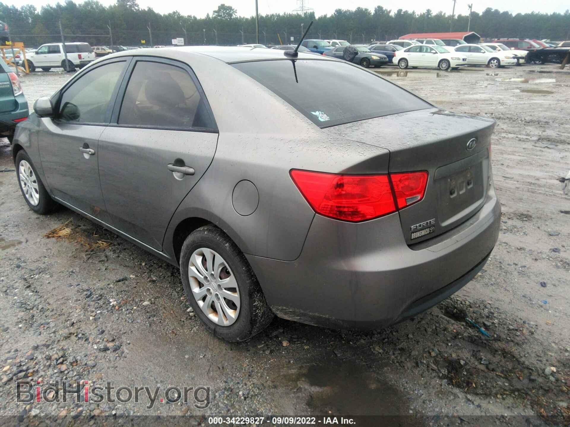 2011 KIA FORTE - VIN: KNAFU4A29B5442171 - Фото 3
