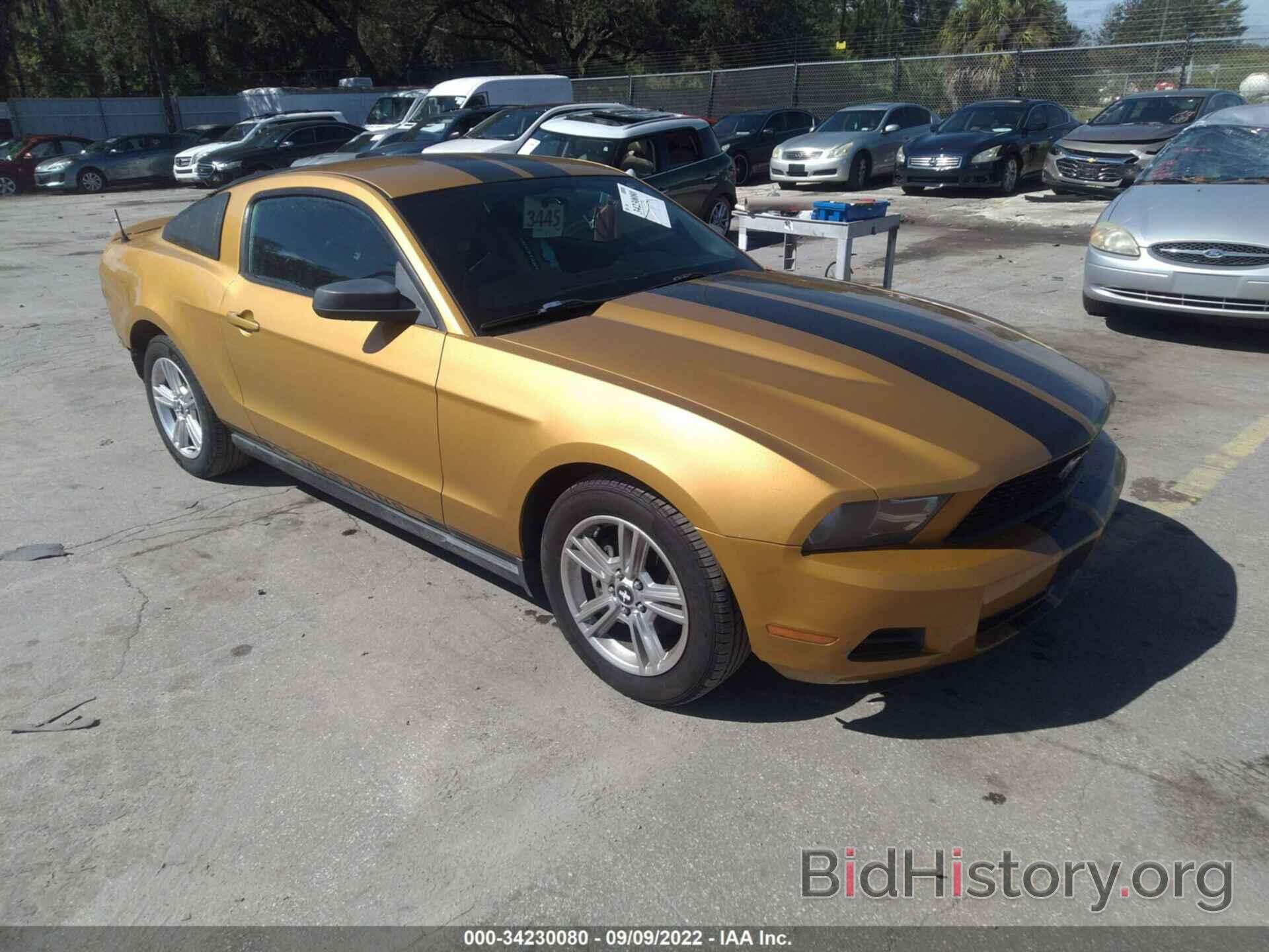 Photo 1ZVBP8AN1A5148897 - FORD MUSTANG 2010