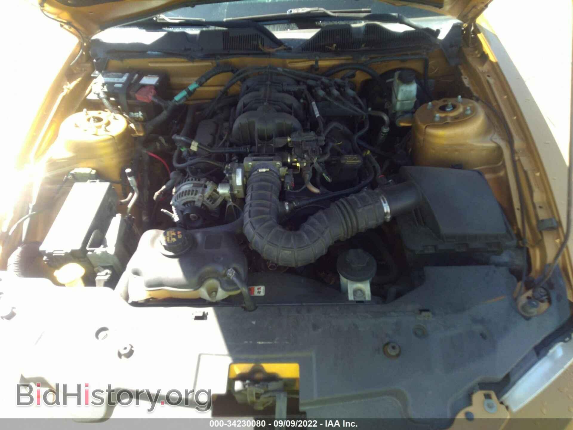2010 FORD MUSTANG - VIN: 1ZVBP8AN1A5148897 - Фото 10