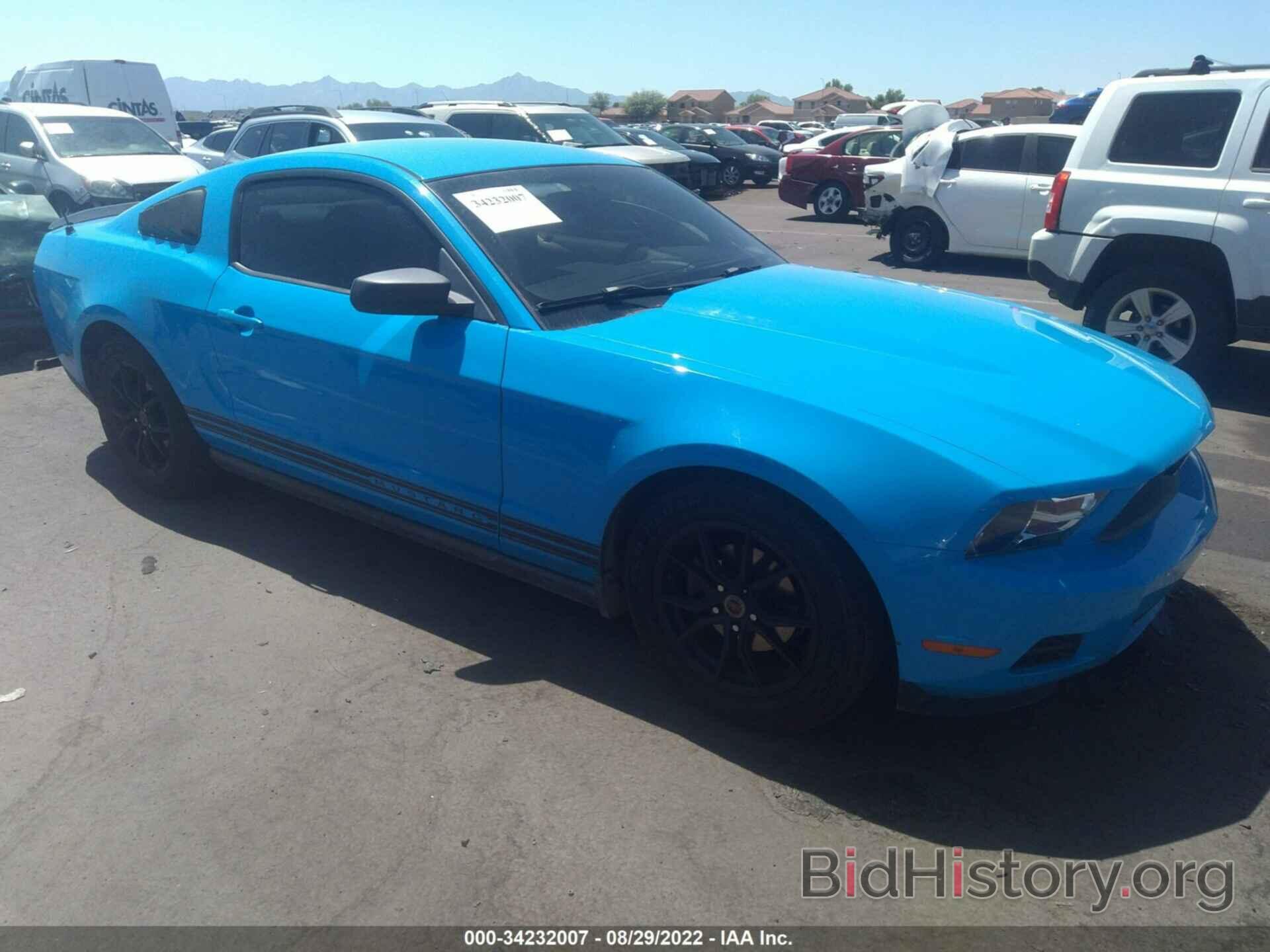 Photo 1ZVBP8AN4A5165564 - FORD MUSTANG 2010