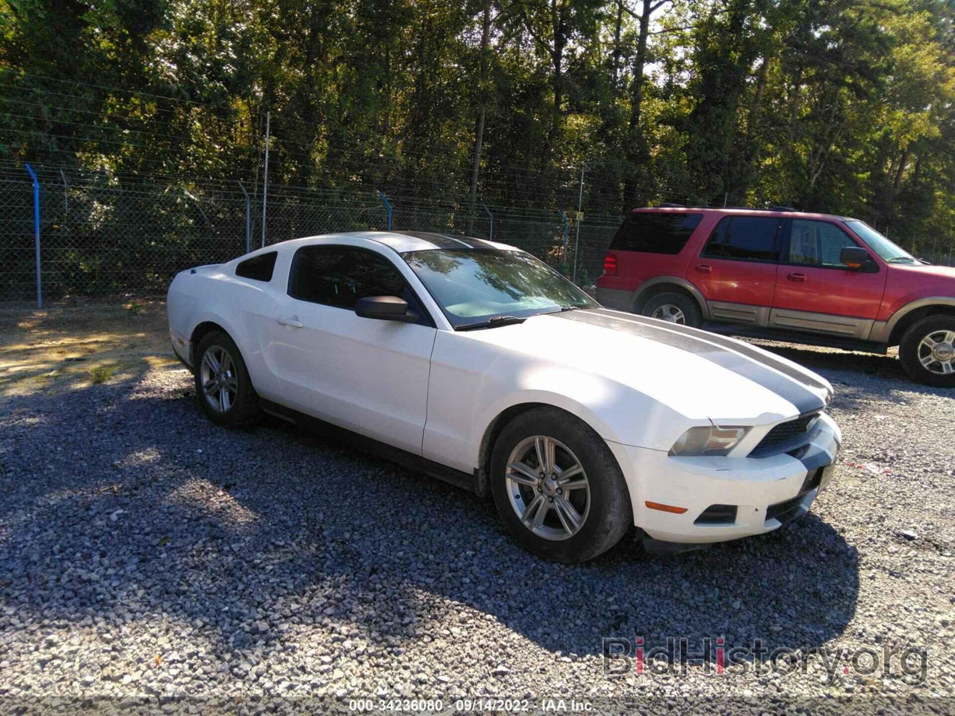 Photo 1ZVBP8AM3C5207071 - FORD MUSTANG 2012