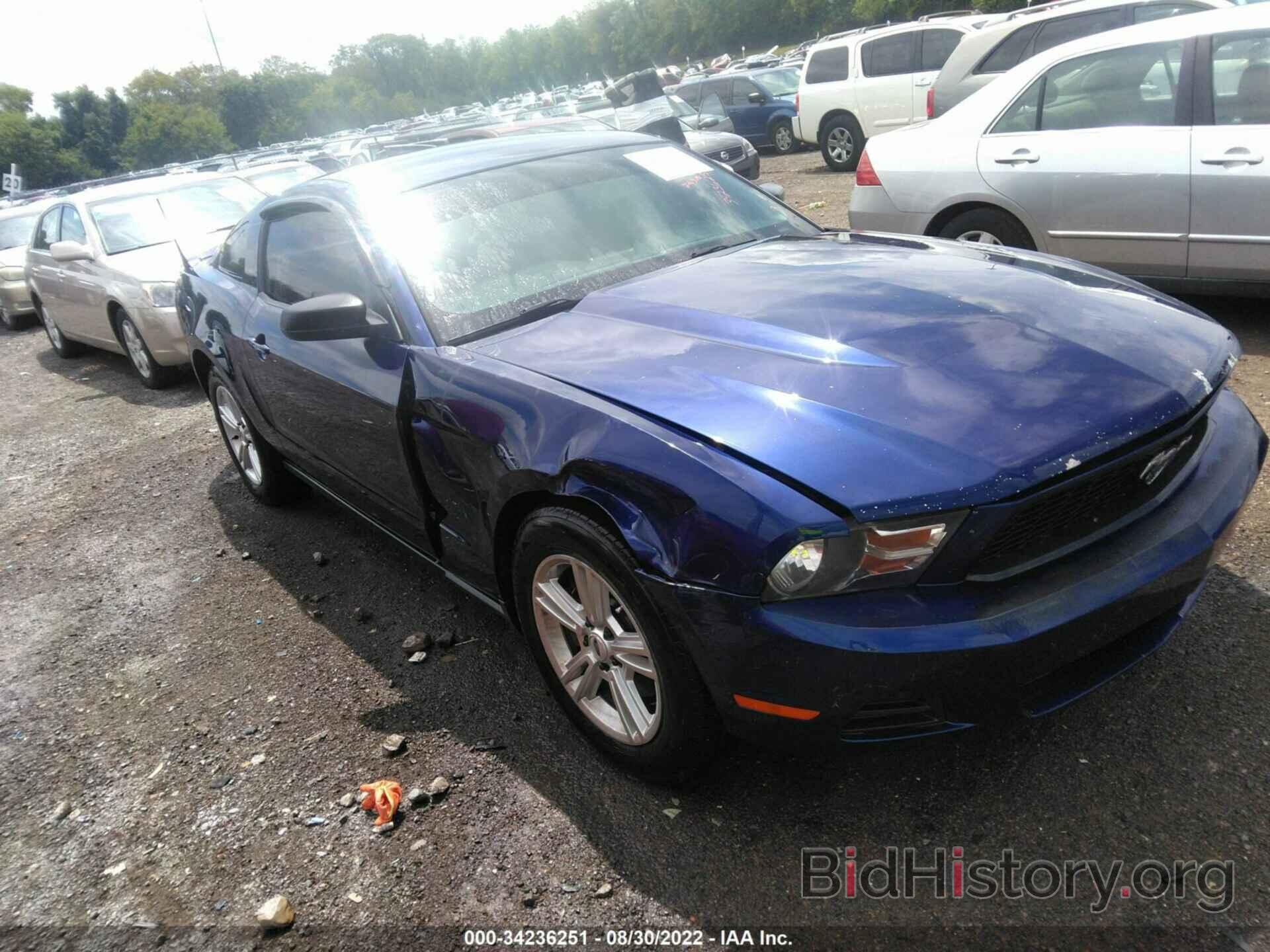 Photo 1ZVBP8AM5C5209114 - FORD MUSTANG 2012