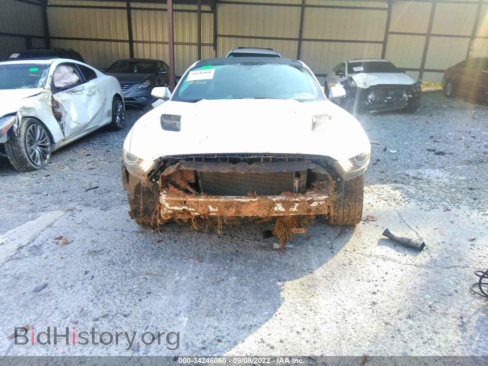 2015 FORD MUSTANG - VIN: 1FA6P8CF2F5366077 - Фото 6