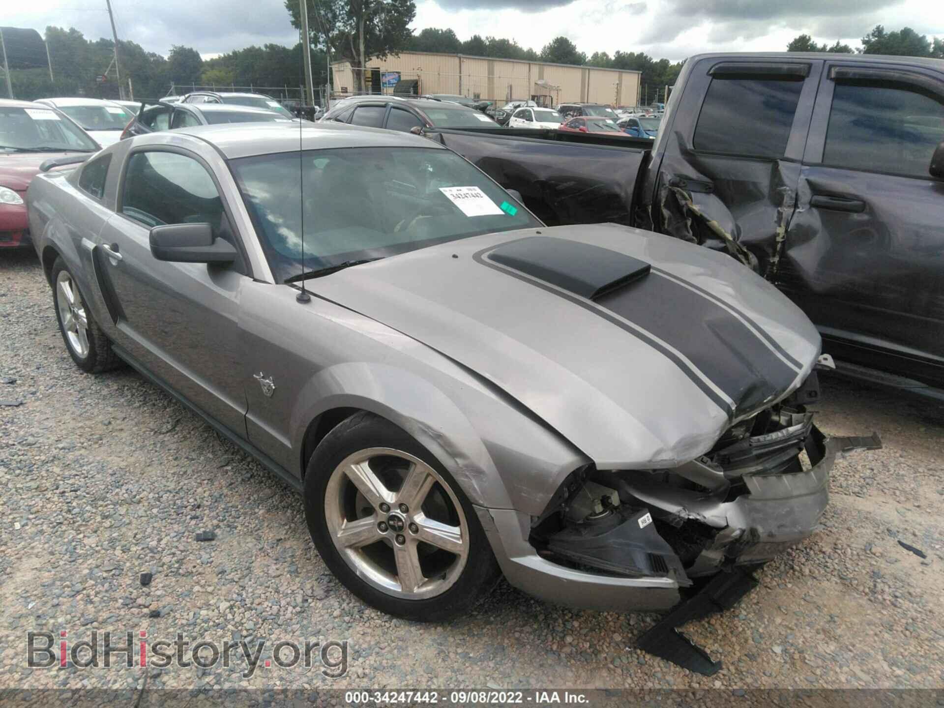 Photo 1ZVHT80N995129811 - FORD MUSTANG 2009