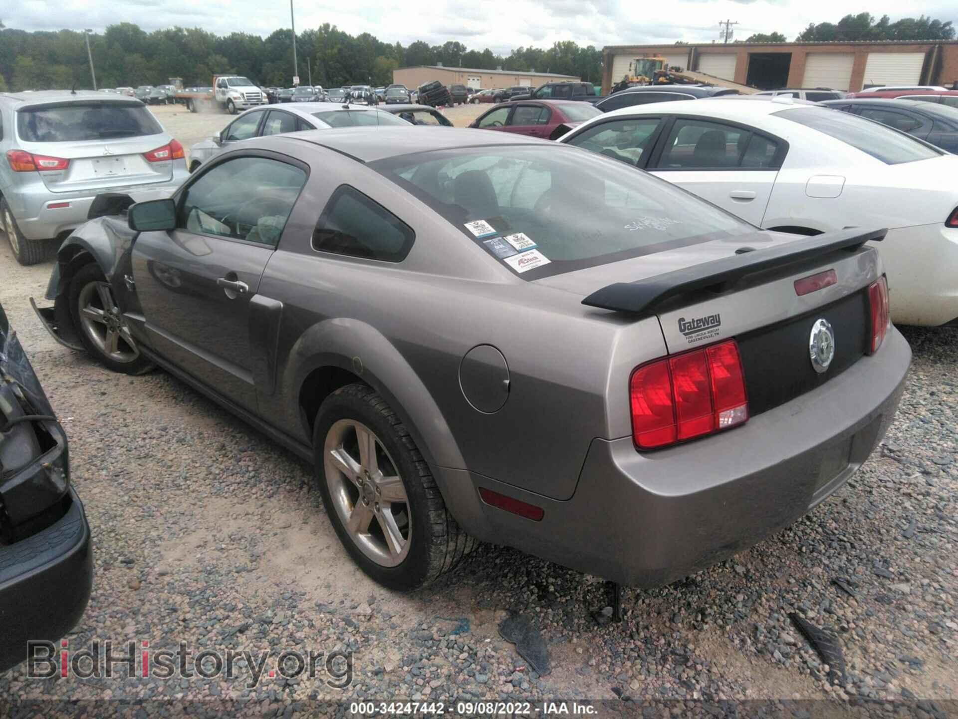 2009 FORD MUSTANG - VIN: 1ZVHT80N995129811 - Фото 3