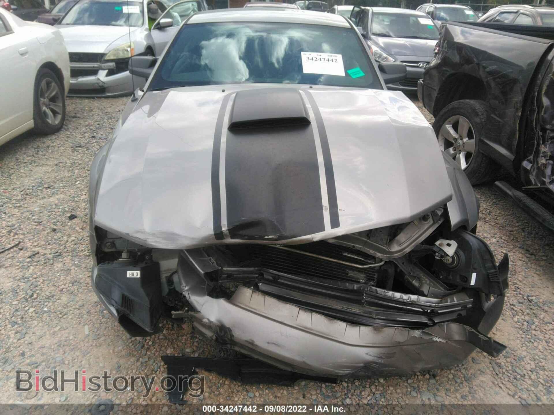 2009 FORD MUSTANG - VIN: 1ZVHT80N995129811 - Фото 6