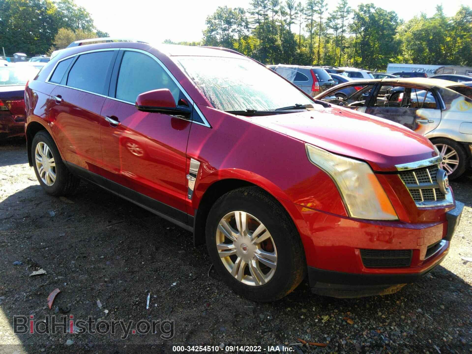 Фотография 3GYFNDEY0AS545492 - CADILLAC SRX 2010