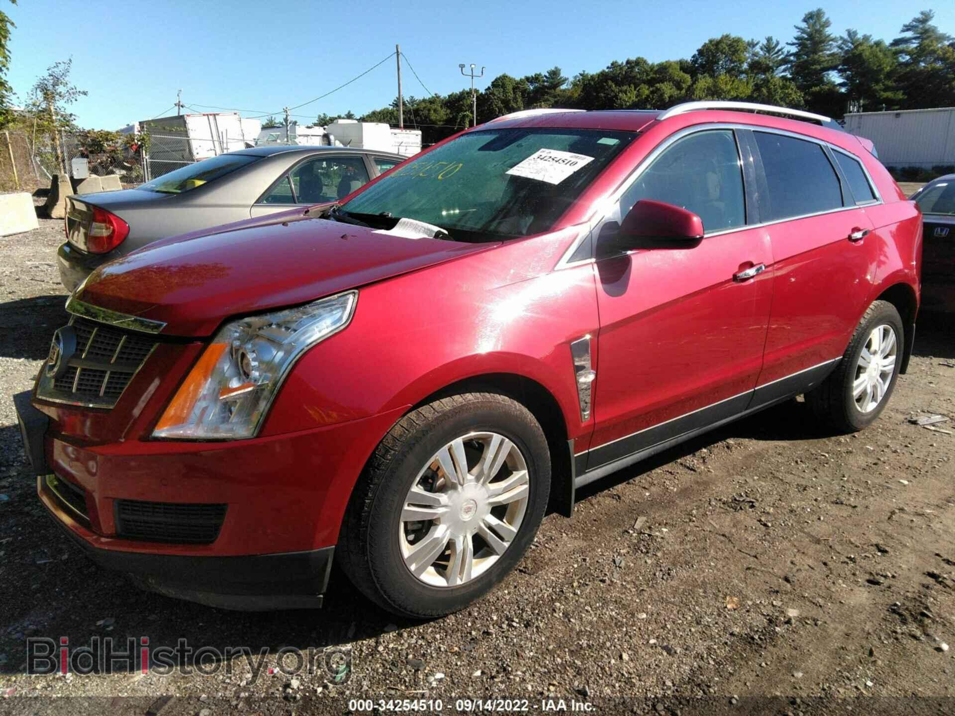 2010 CADILLAC SRX - VIN: 3GYFNDEY0AS545492 - Photo 2