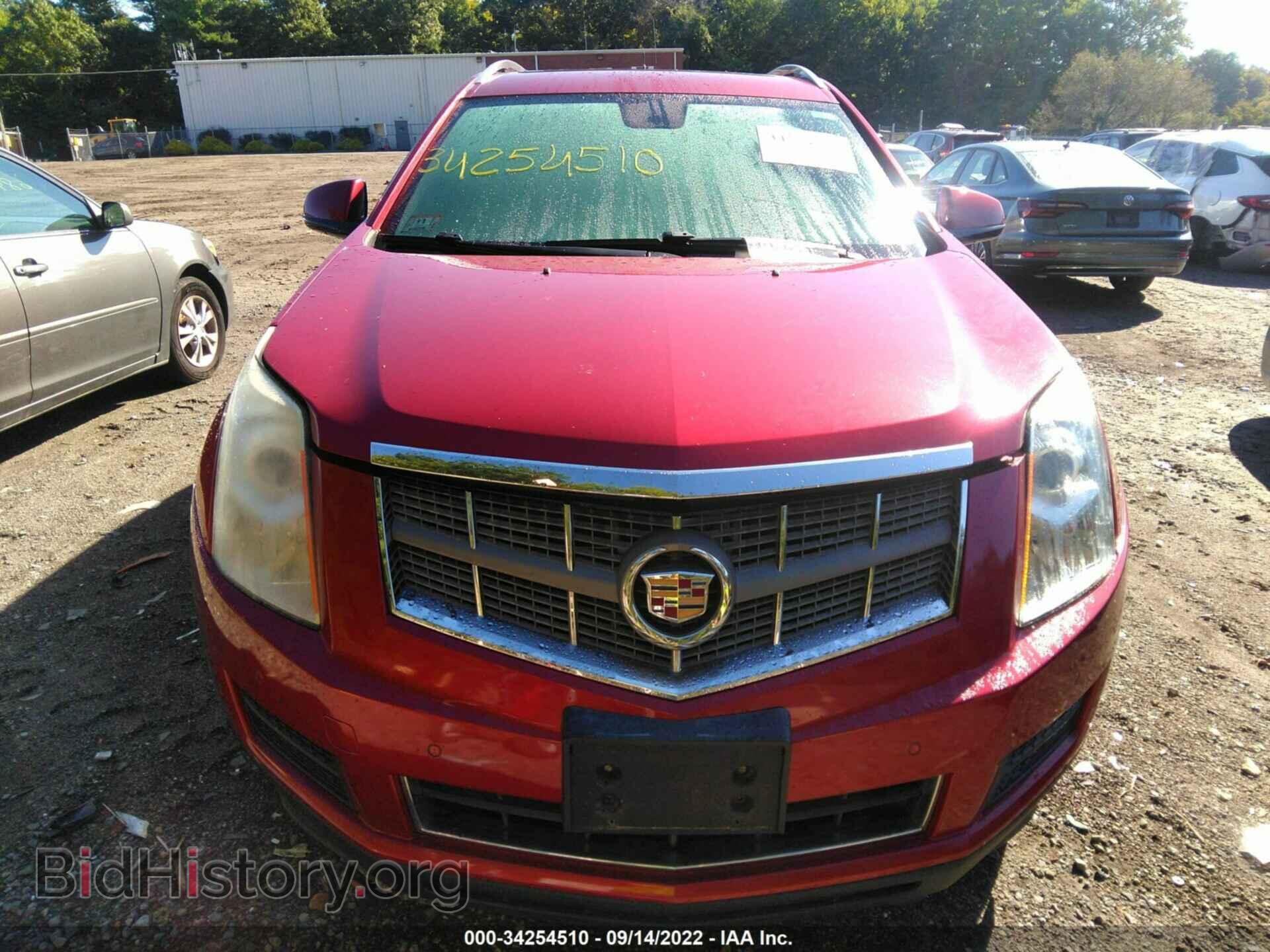 2010 CADILLAC SRX - VIN: 3GYFNDEY0AS545492 - Photo 6