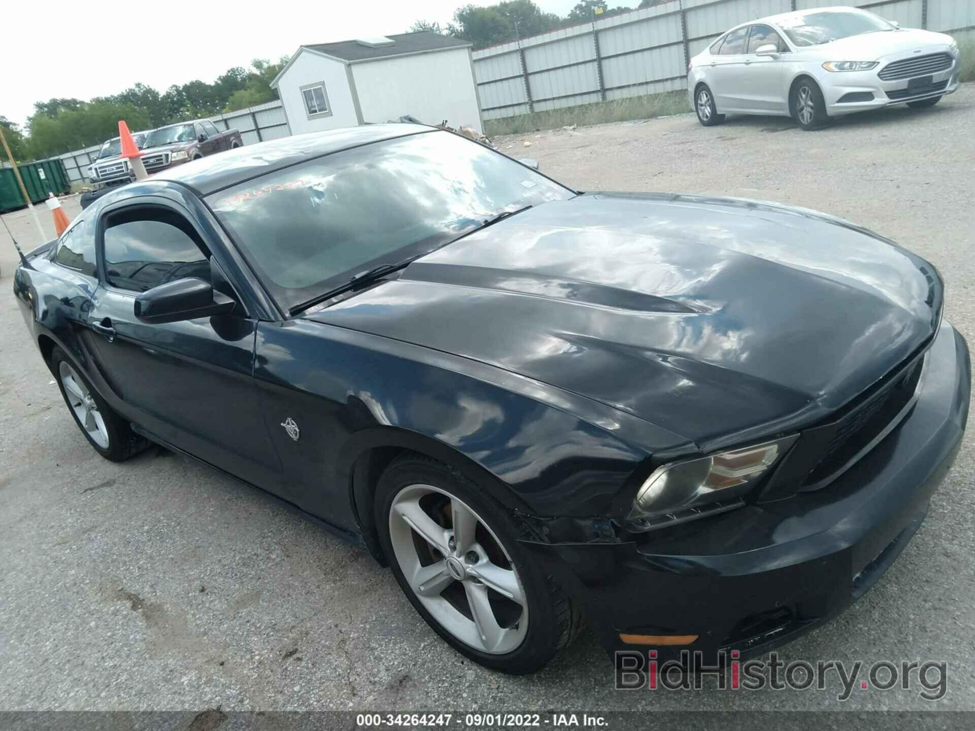 Photo 1ZVBP8AN4A5170795 - FORD MUSTANG 2010