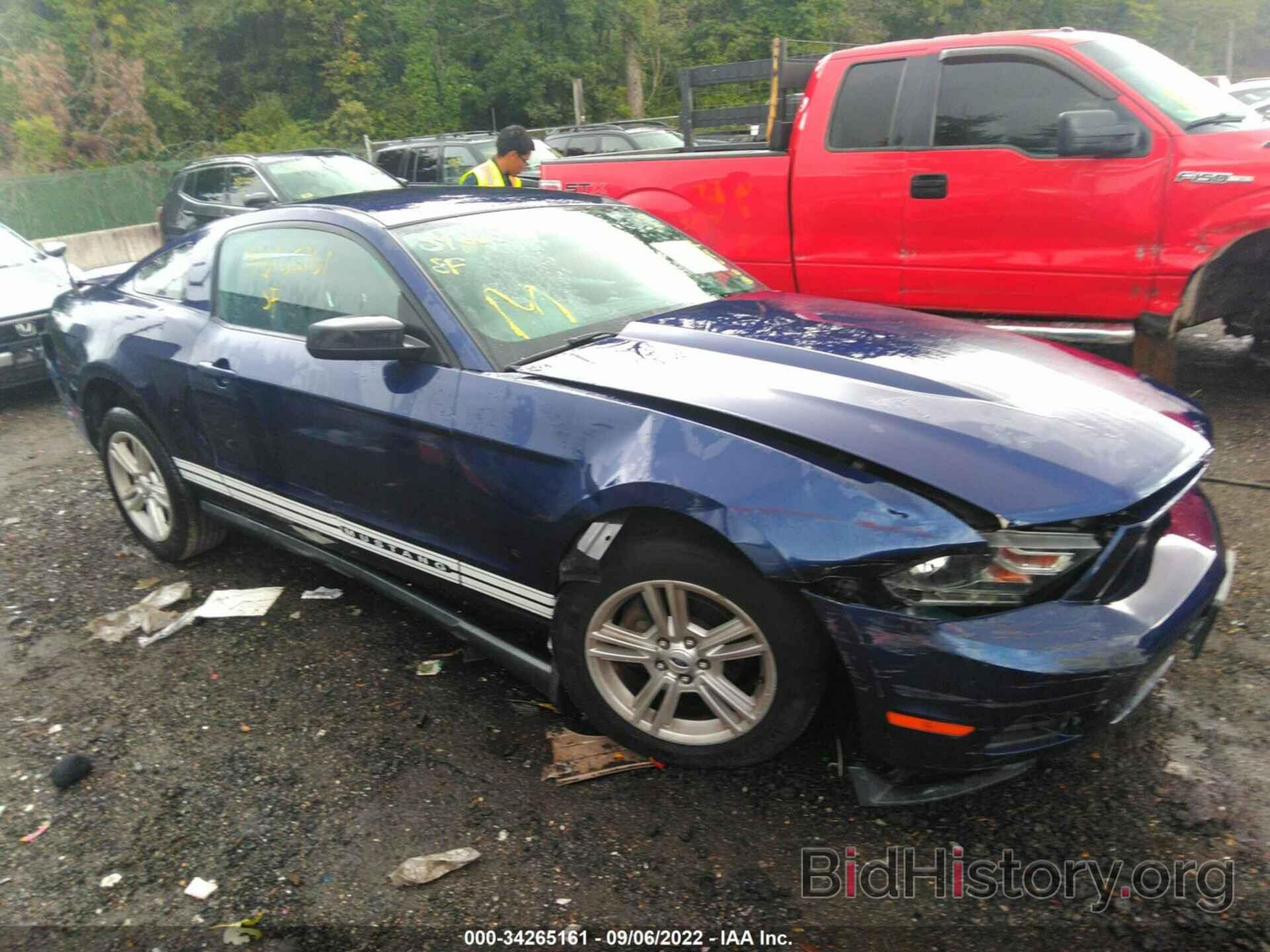 Photo 1ZVBP8AN9A5120488 - FORD MUSTANG 2010