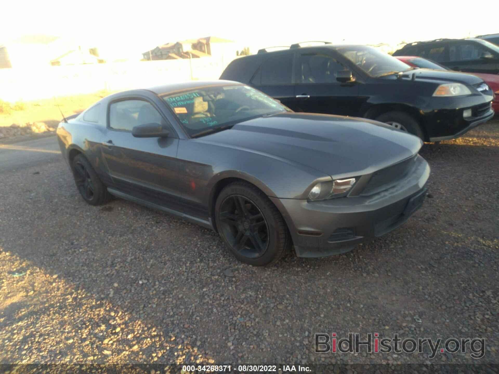 Photo 1ZVBP8AN4A5108054 - FORD MUSTANG 2010
