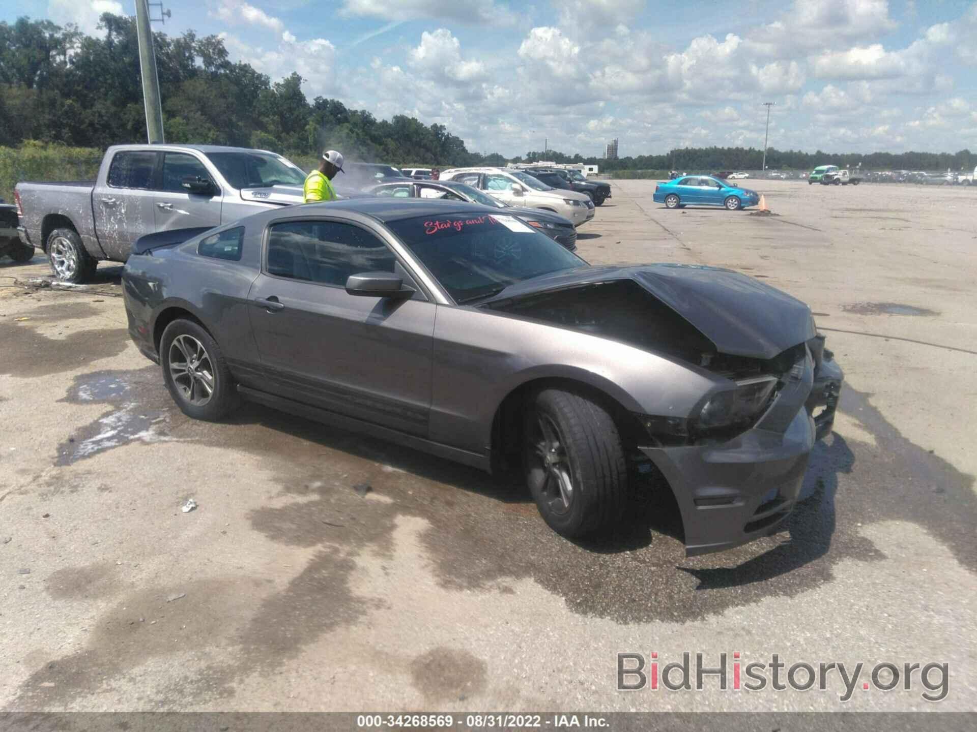 Photo 1ZVBP8AM7E5201390 - FORD MUSTANG 2014