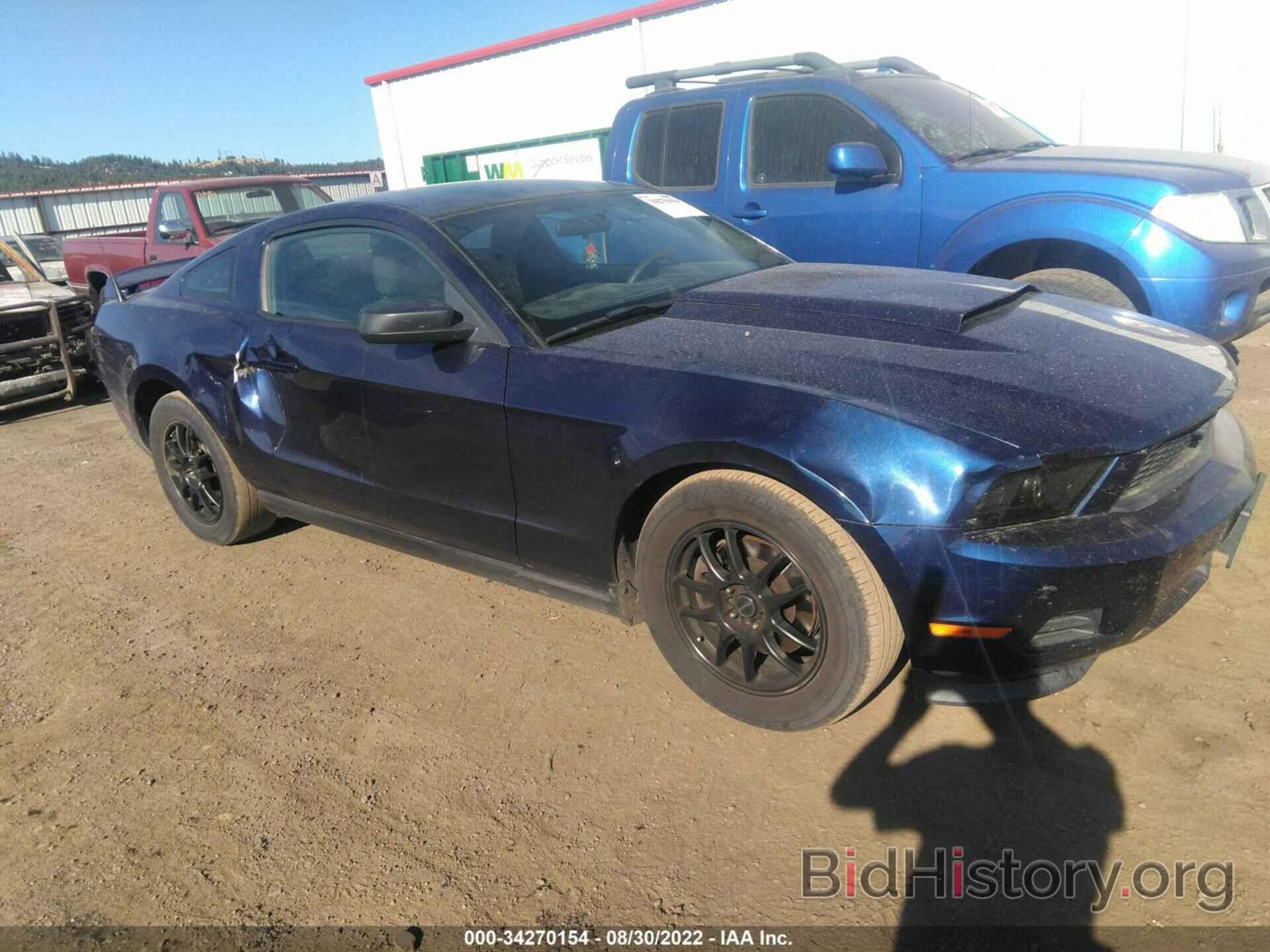 Photo 1ZVBP8AMXC5243873 - FORD MUSTANG 2012