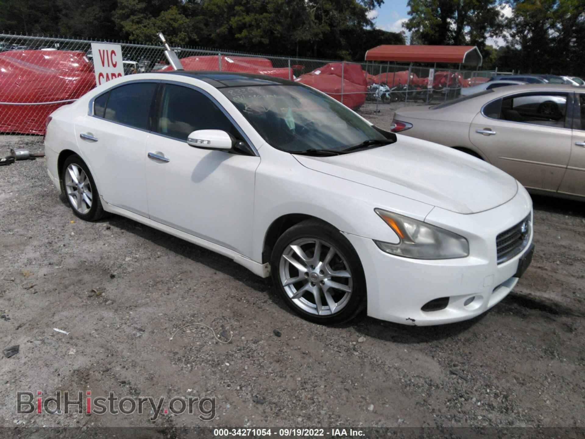 Photo 1N4AA5AP1AC833676 - NISSAN MAXIMA 2010