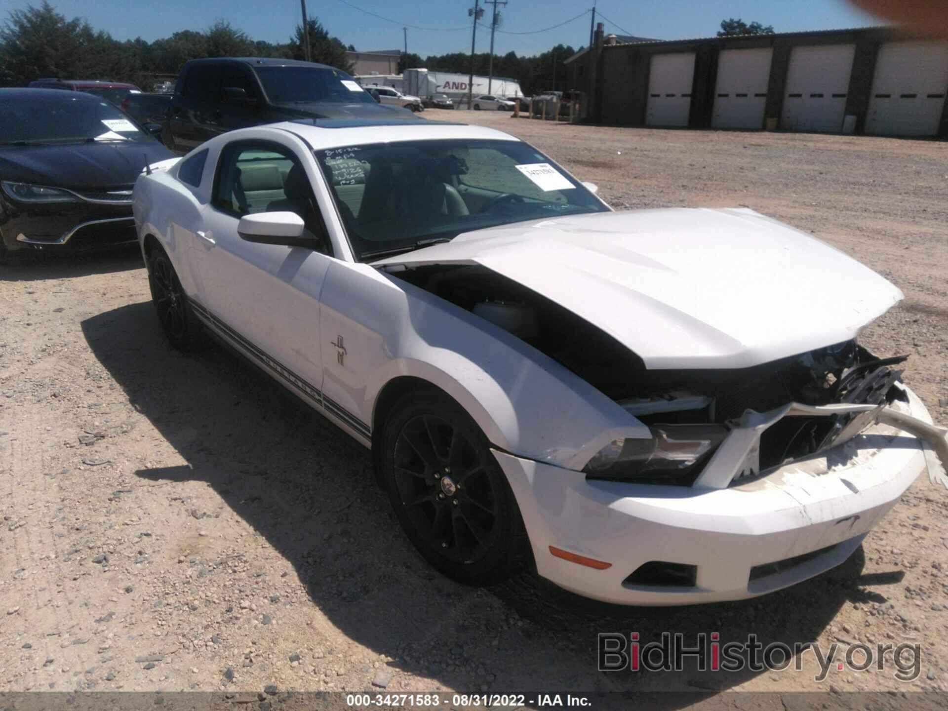 Photo 1ZVBP8AN9A5129126 - FORD MUSTANG 2010