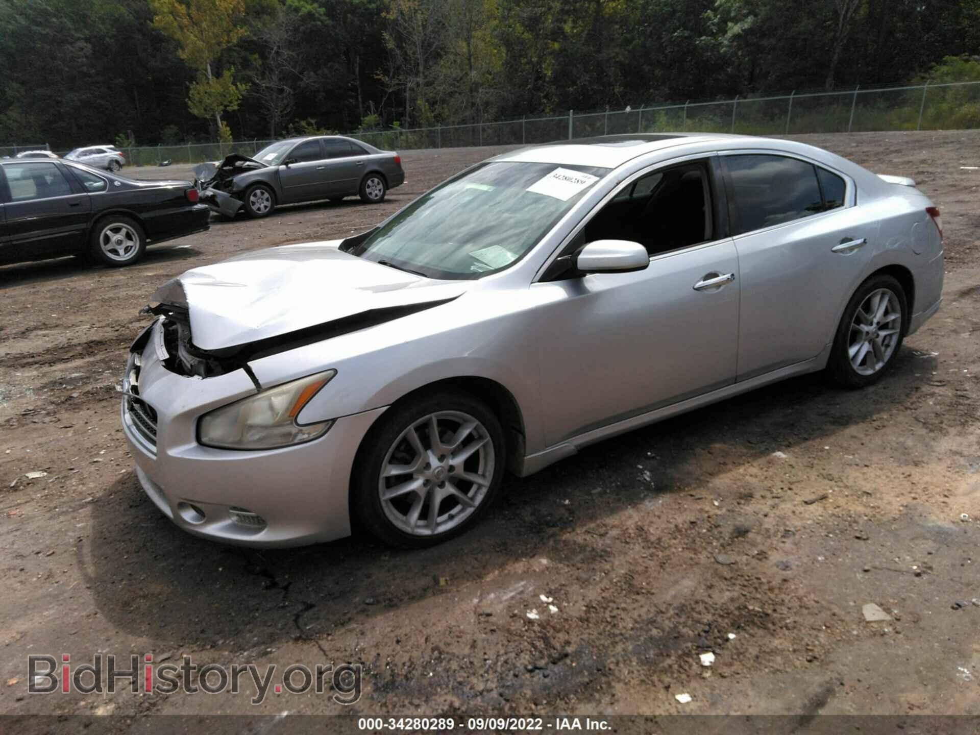2010 NISSAN MAXIMA - VIN: 1N4AA5AP0AC814665 - Фото 2