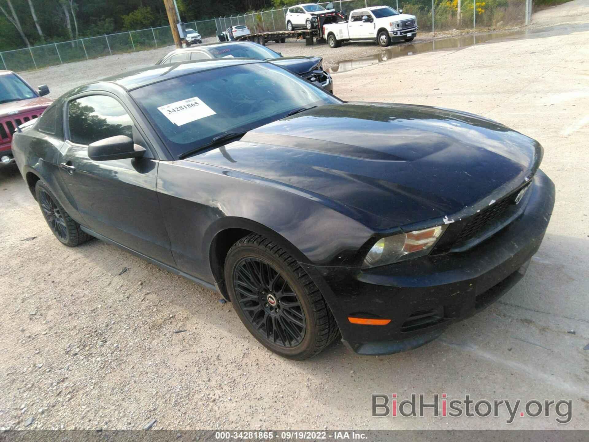Photo 1ZVBP8AM5C5216452 - FORD MUSTANG 2012