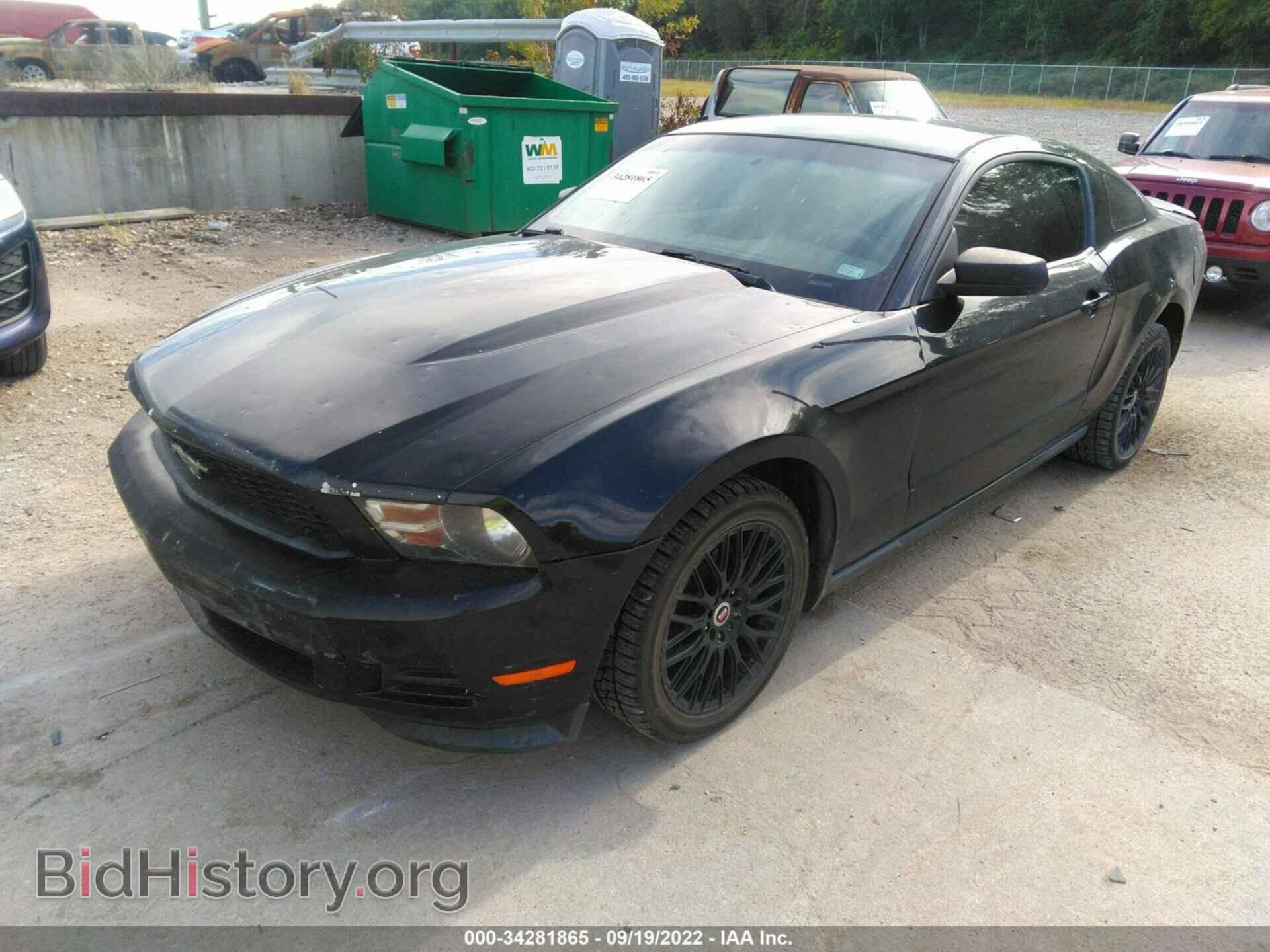 2012 FORD MUSTANG - VIN: 1ZVBP8AM5C5216452 - Фото 2