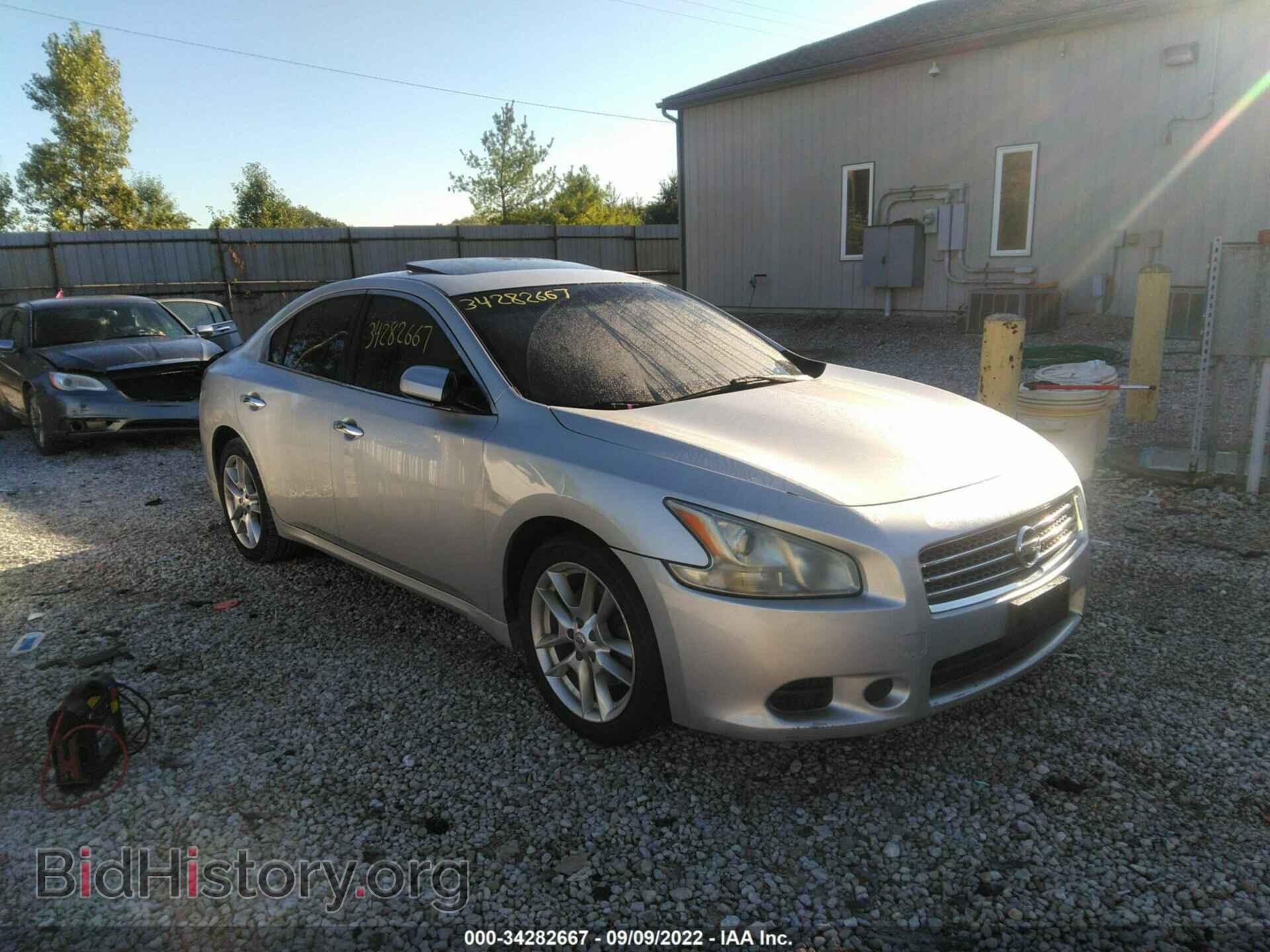 Фотография 1N4AA5AP5BC838672 - NISSAN MAXIMA 2011