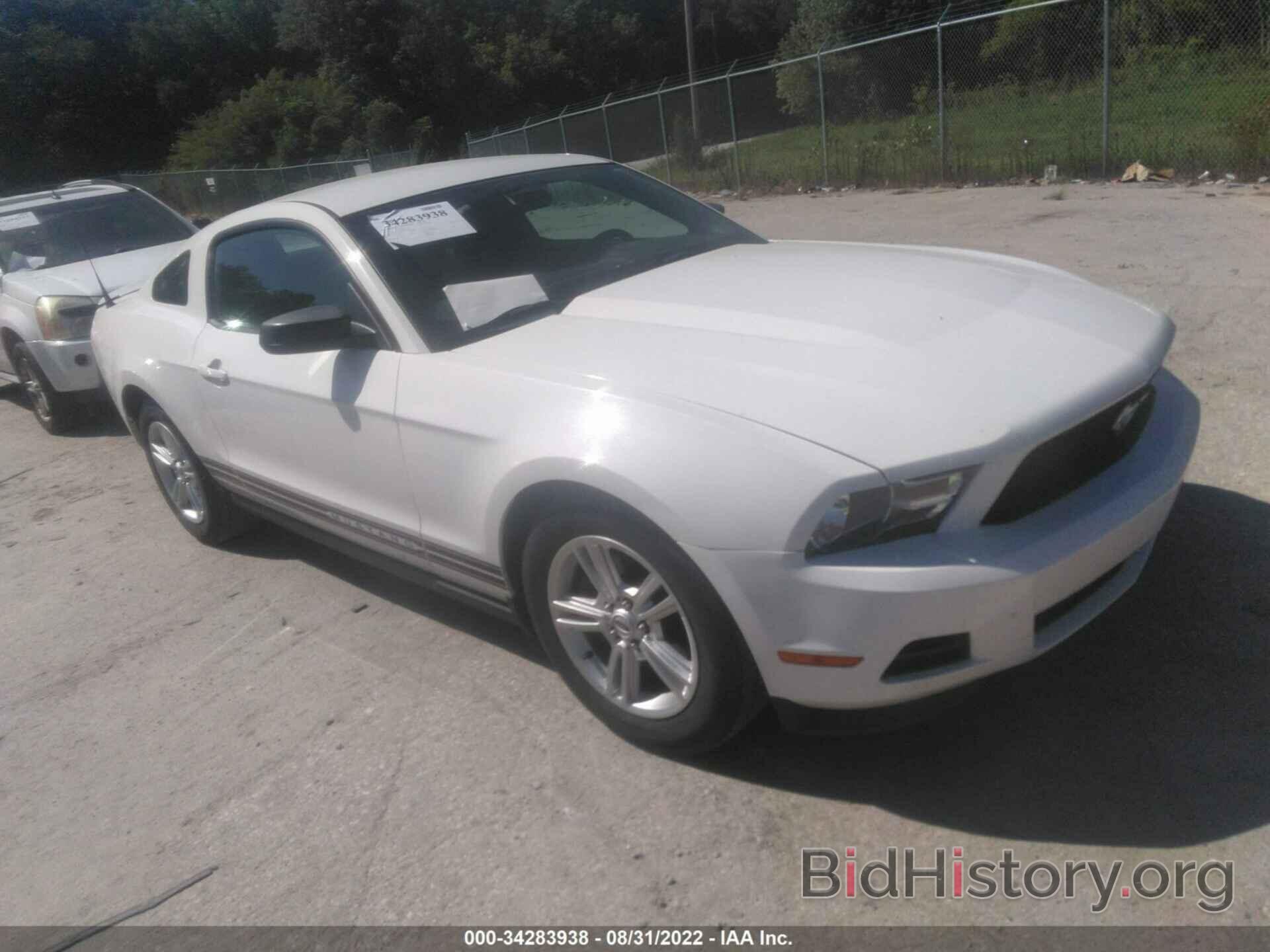 Photo 1ZVBP8AMXB5149491 - FORD MUSTANG 2011