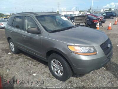 2009 Hyundai SANTA FE GLS, зеленый — VIN 5NMSG13DX9H263327, IAAI