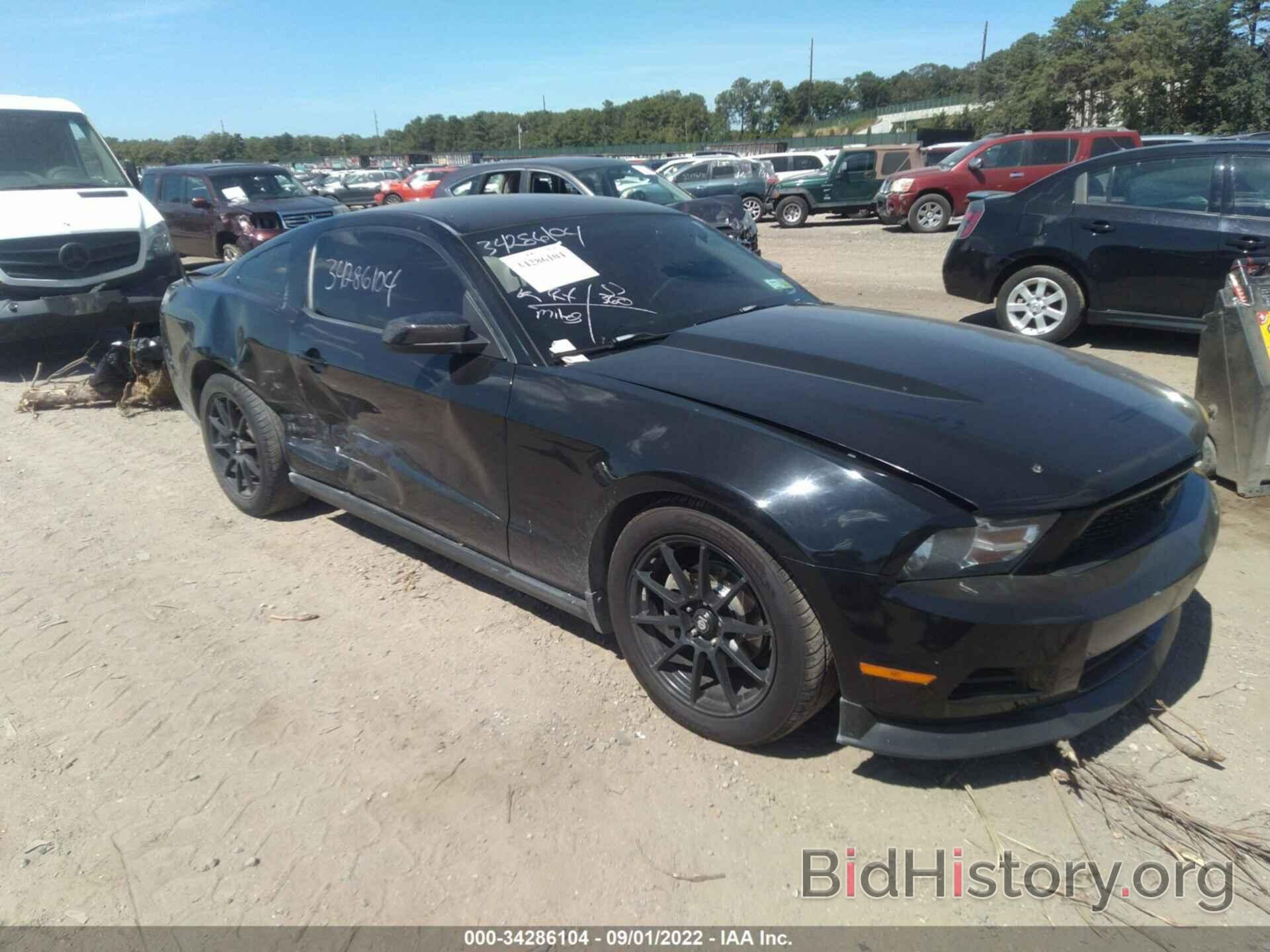 Photo 1ZVBP8AN0A5150575 - FORD MUSTANG 2010