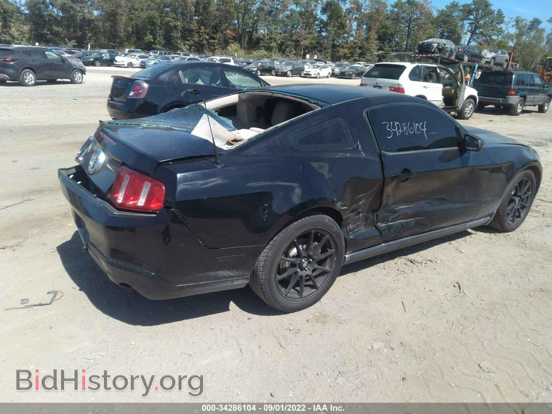 2010 FORD MUSTANG - VIN: 1ZVBP8AN0A5150575 - Фото 4