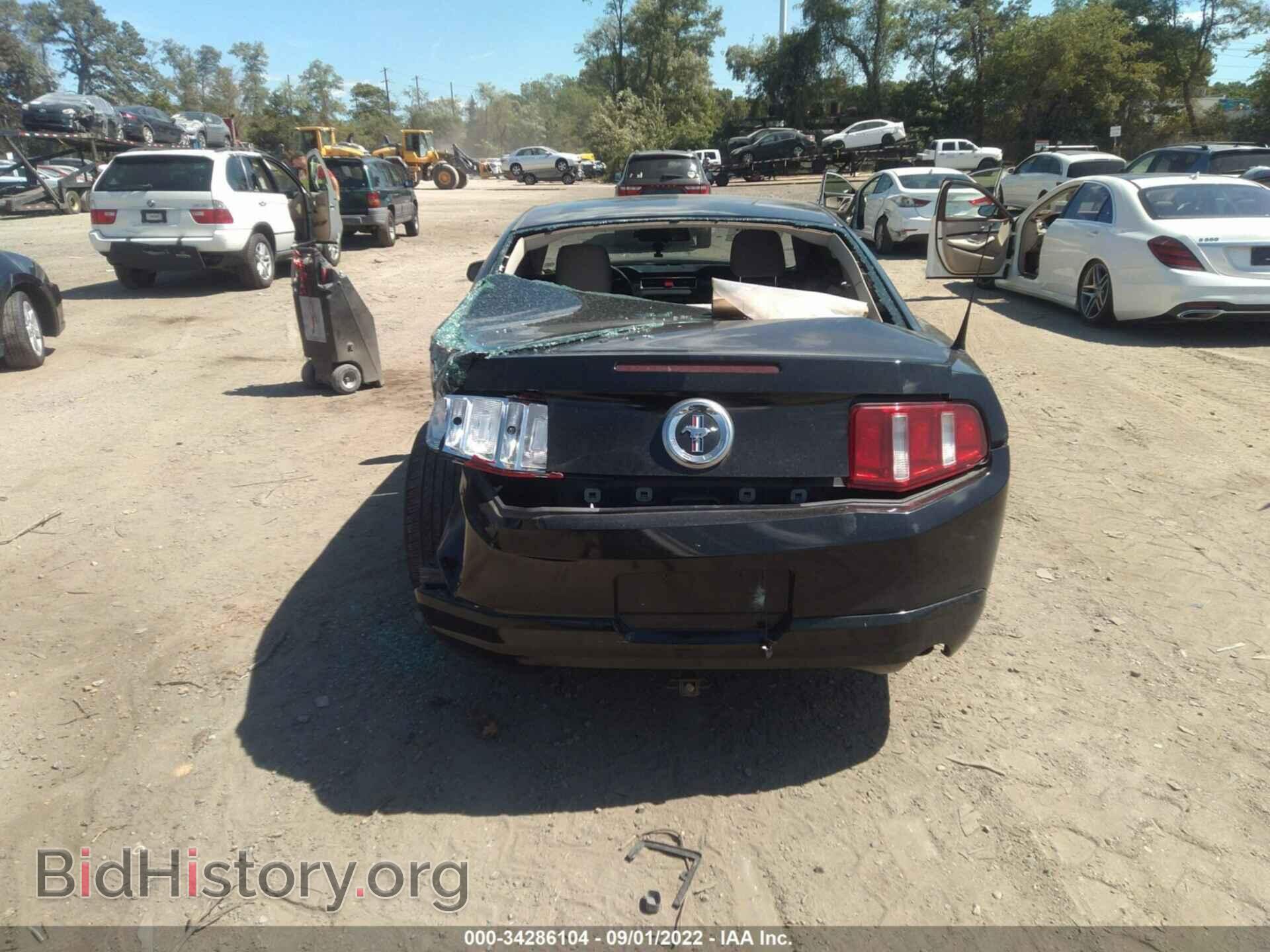 2010 FORD MUSTANG - VIN: 1ZVBP8AN0A5150575 - Фото 6