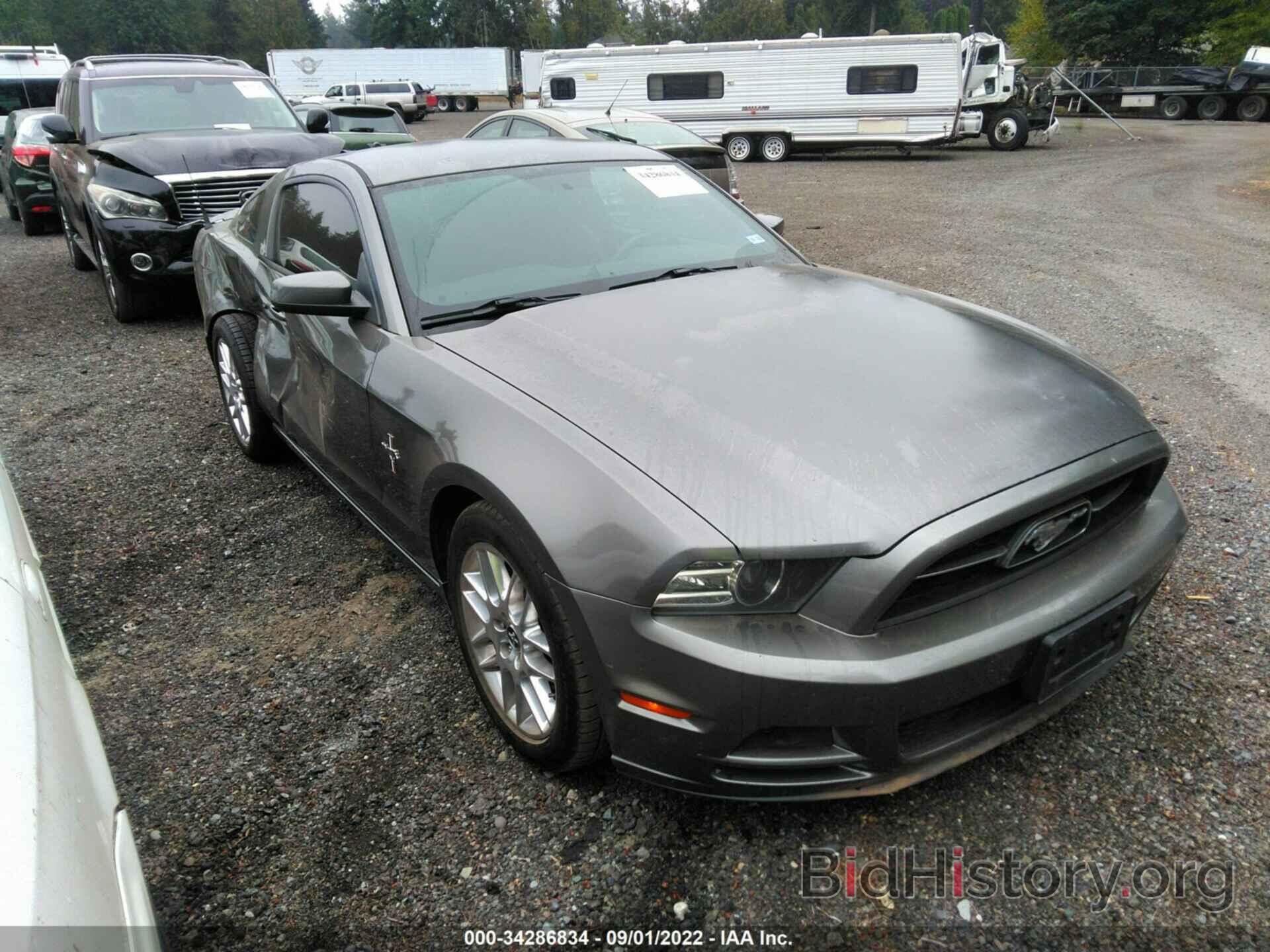Photo 1ZVBP8AM0E5219245 - FORD MUSTANG 2014
