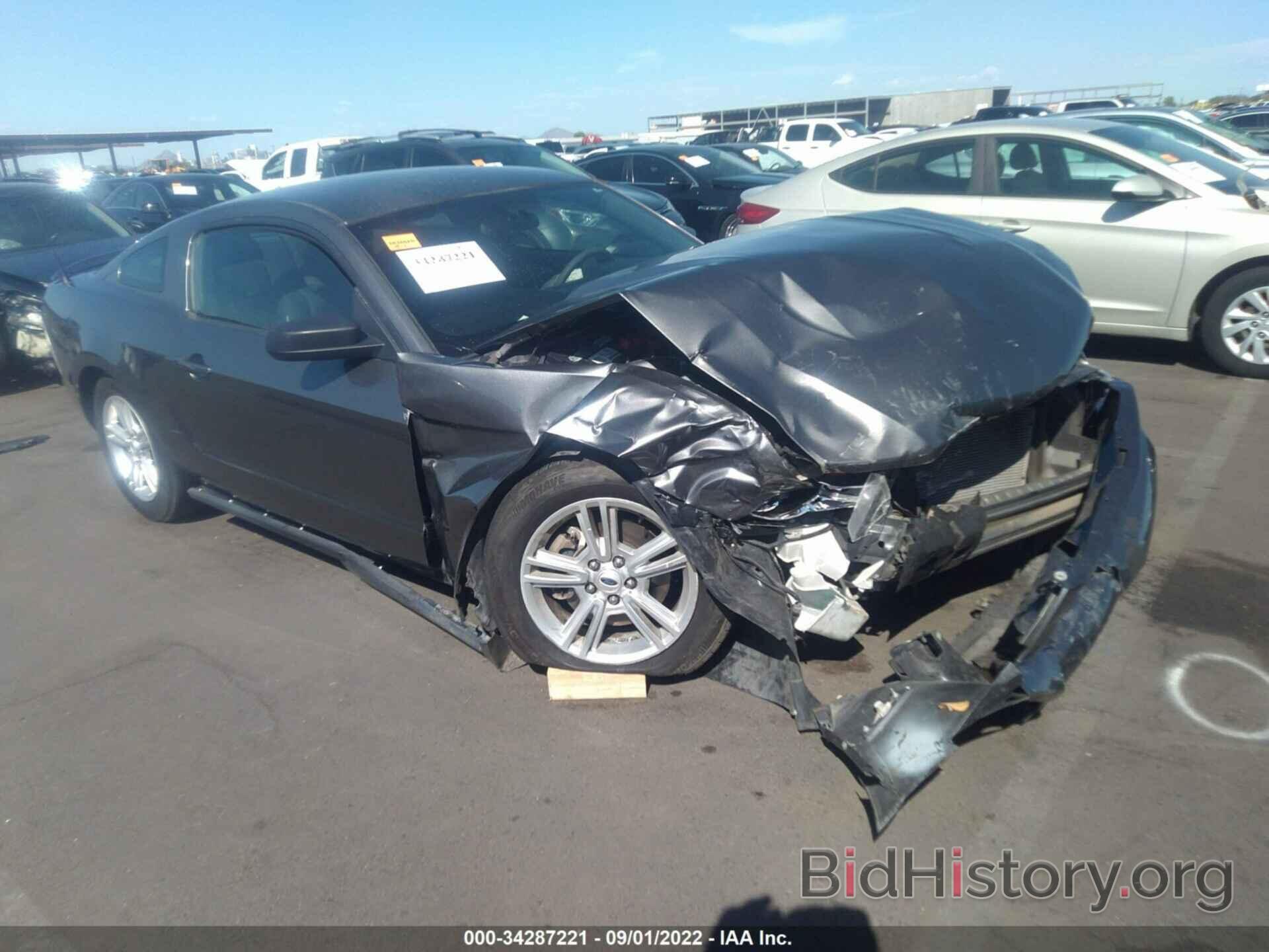 Photo 1ZVBP8AM1C5263817 - FORD MUSTANG 2012