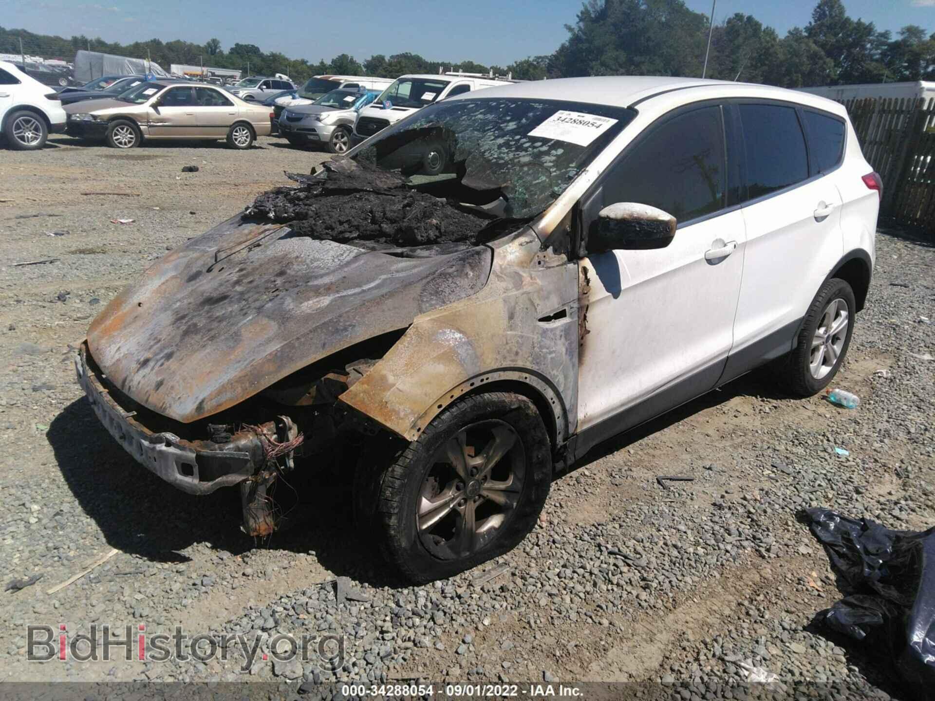 2014 FORD ESCAPE - VIN: 1FMCU0GX6EUC00493 - Photo 2
