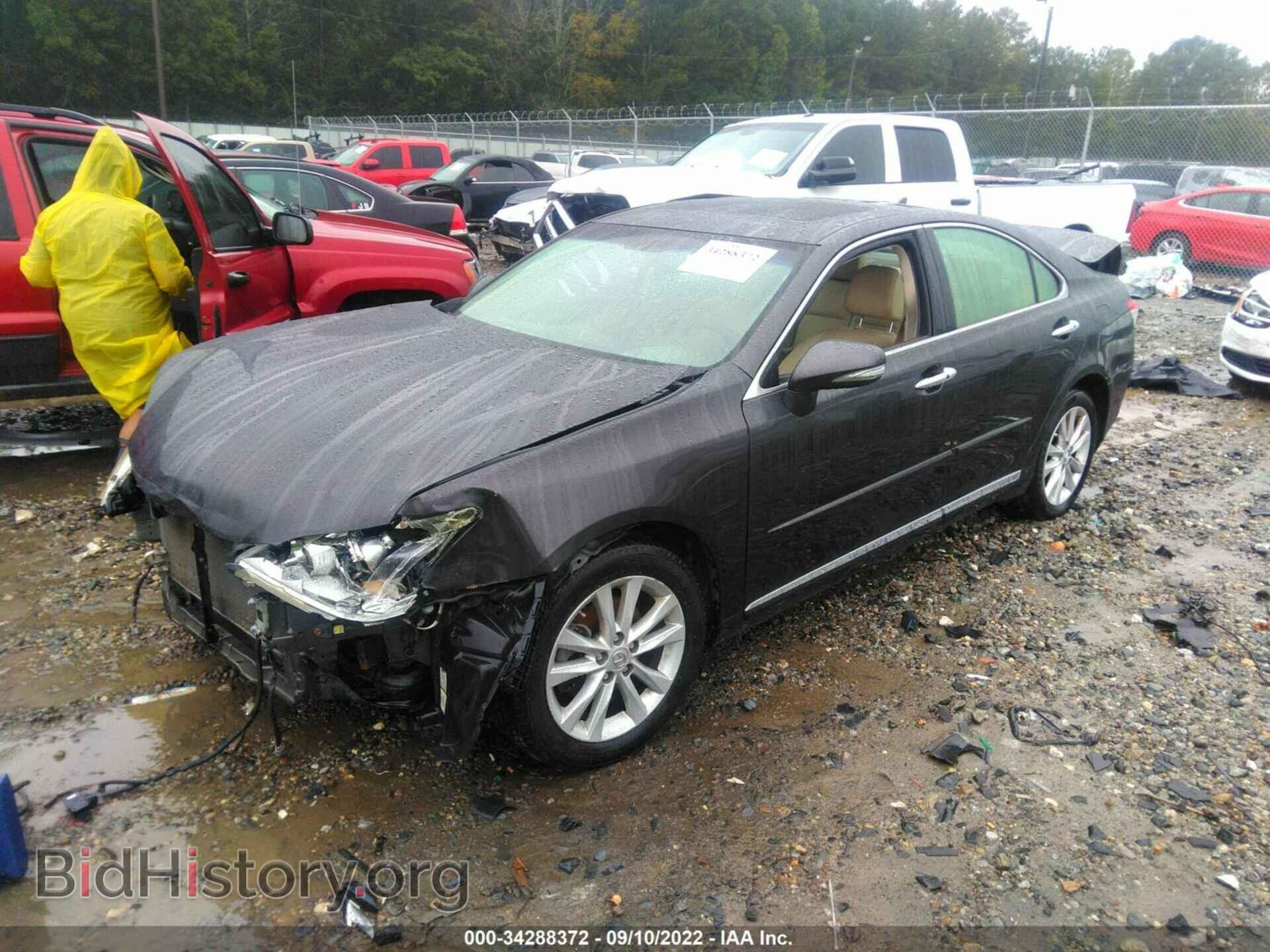 2011 LEXUS ES 350 - VIN: JTHBK1EG2B2433128 - Фото 2