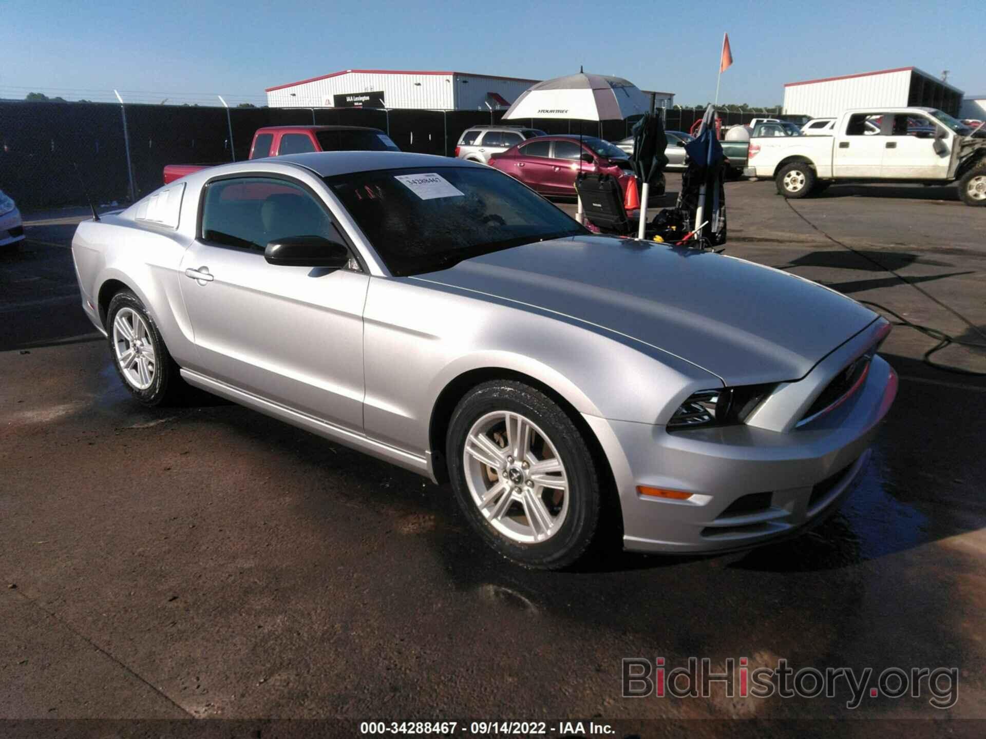 Photo 1ZVBP8AM9E5236061 - FORD MUSTANG 2014