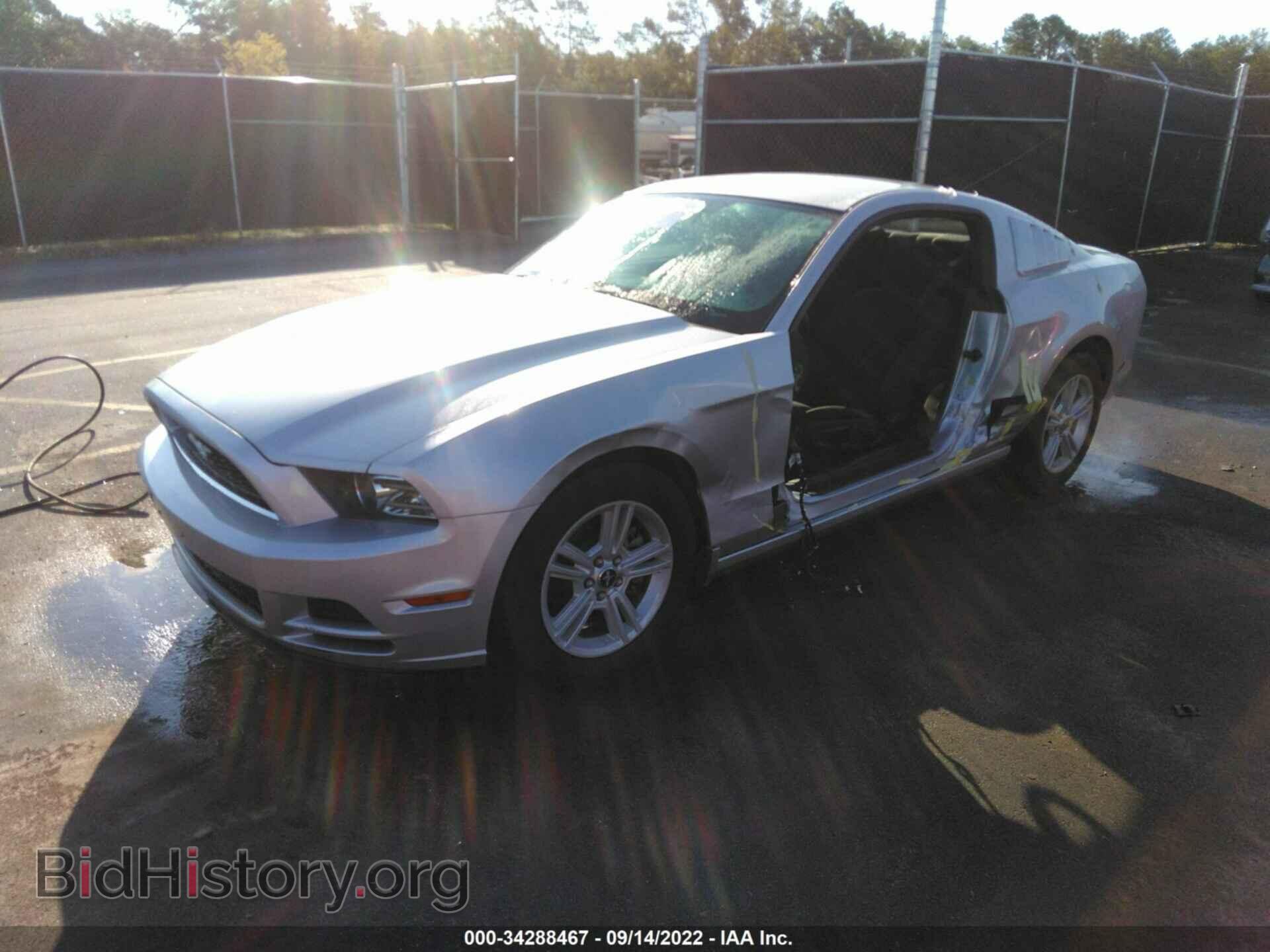 2014 FORD MUSTANG - VIN: 1ZVBP8AM9E5236061 - Фото 2