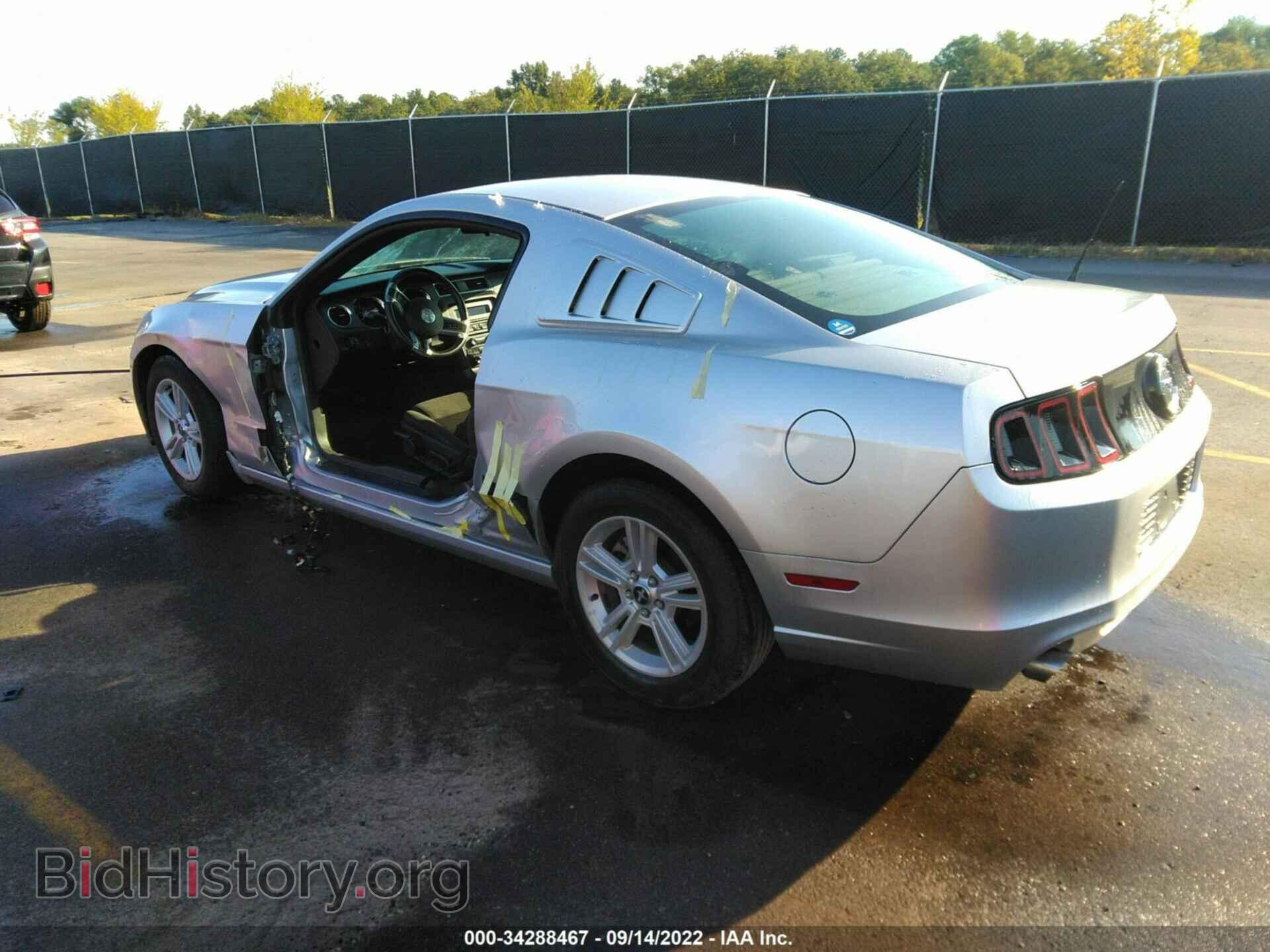 2014 FORD MUSTANG - VIN: 1ZVBP8AM9E5236061 - Фото 3