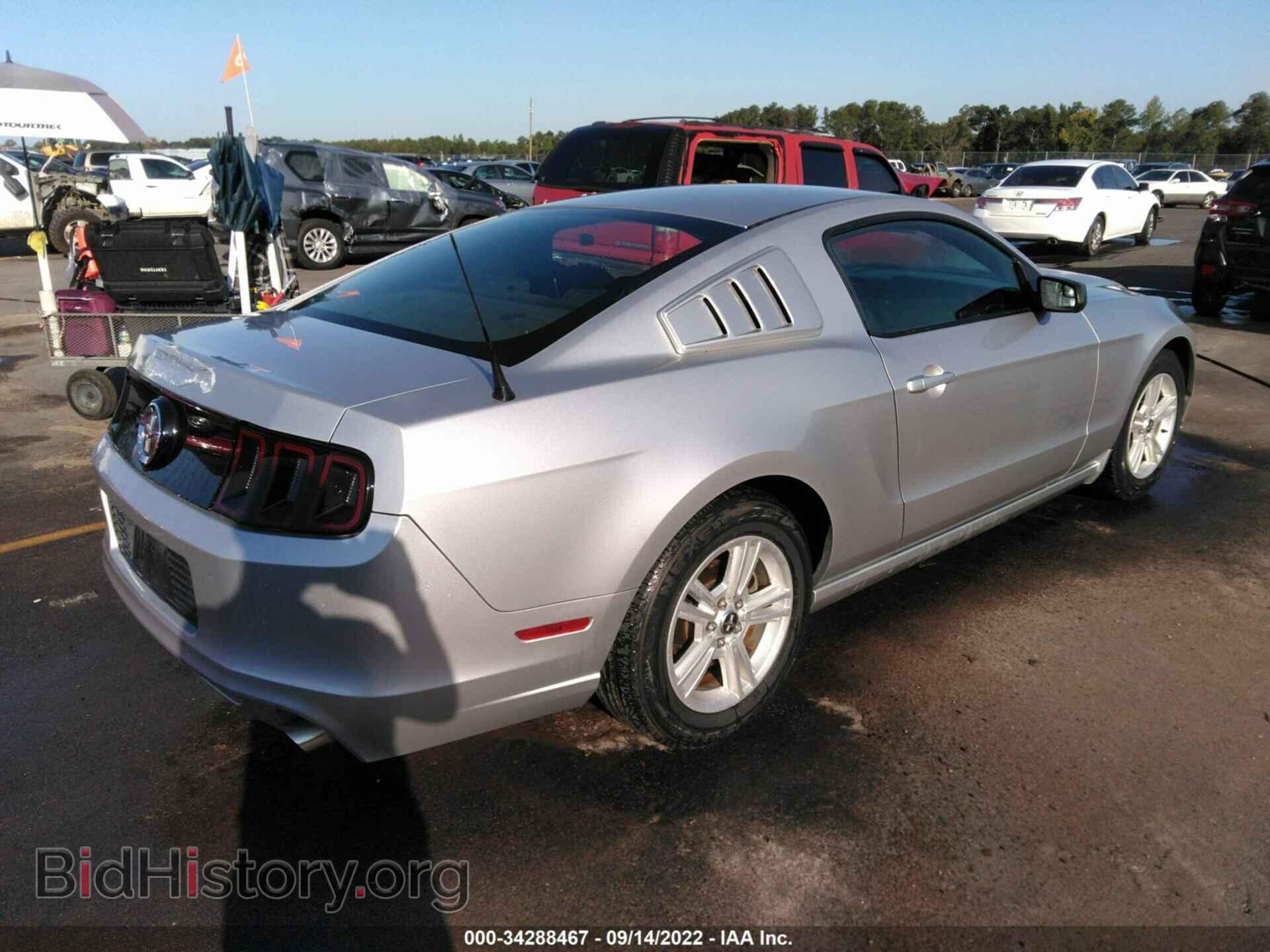 2014 FORD MUSTANG - VIN: 1ZVBP8AM9E5236061 - Фото 4