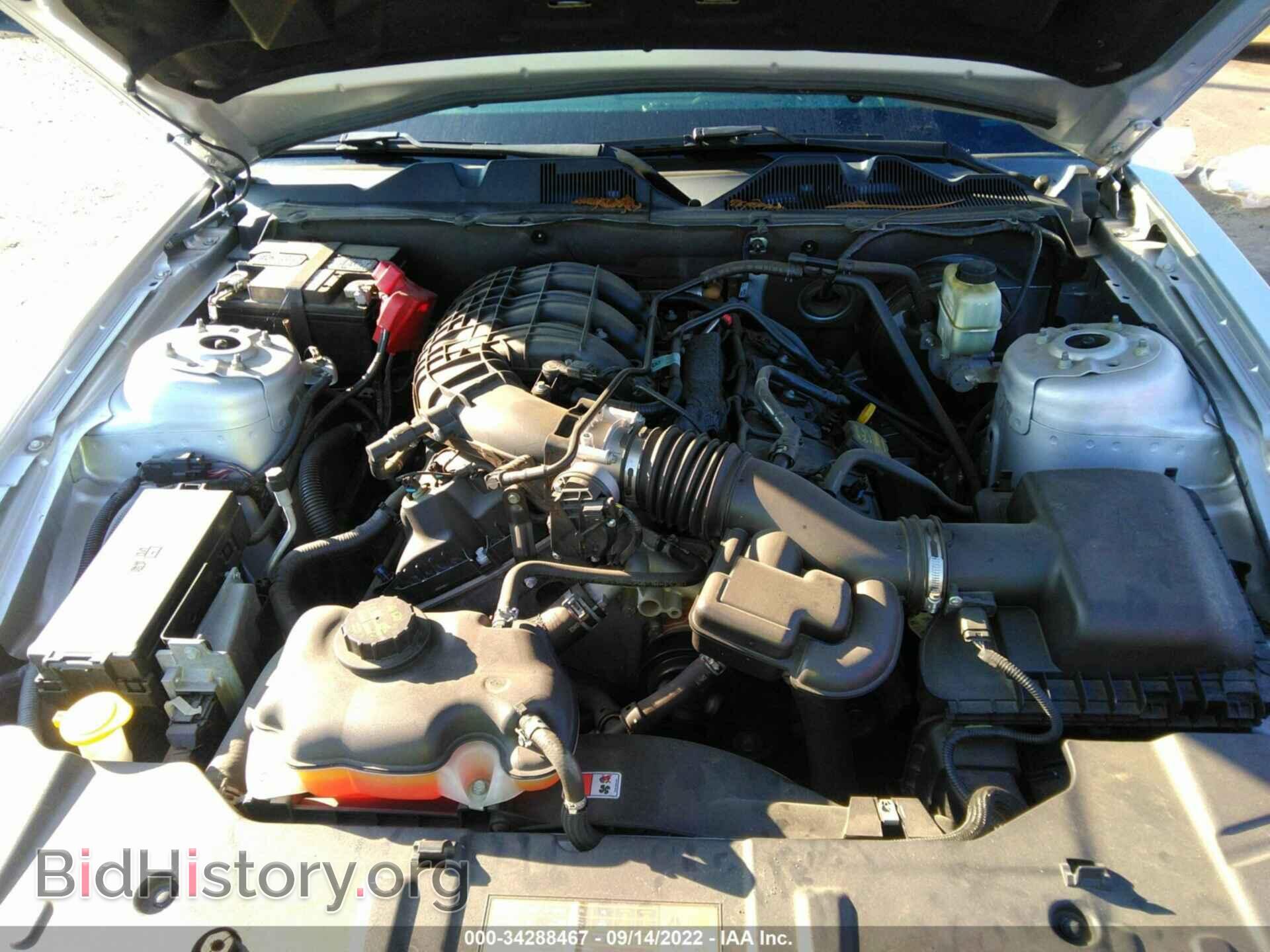 2014 FORD MUSTANG - VIN: 1ZVBP8AM9E5236061 - Фото 10