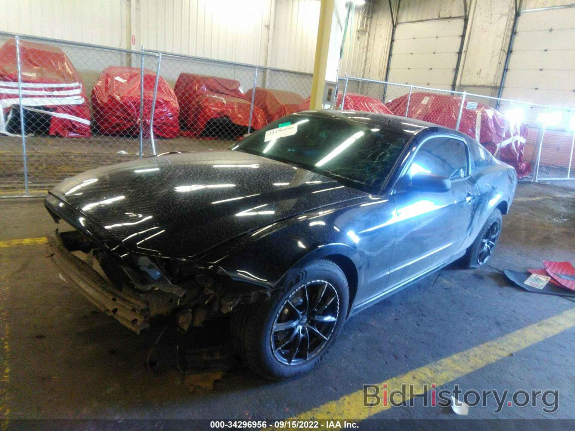 Photo 1ZVBP8AM8E5259282 - FORD MUSTANG 2014